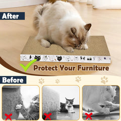 AccEncyc catnip included to attract kittens to scratch and play.