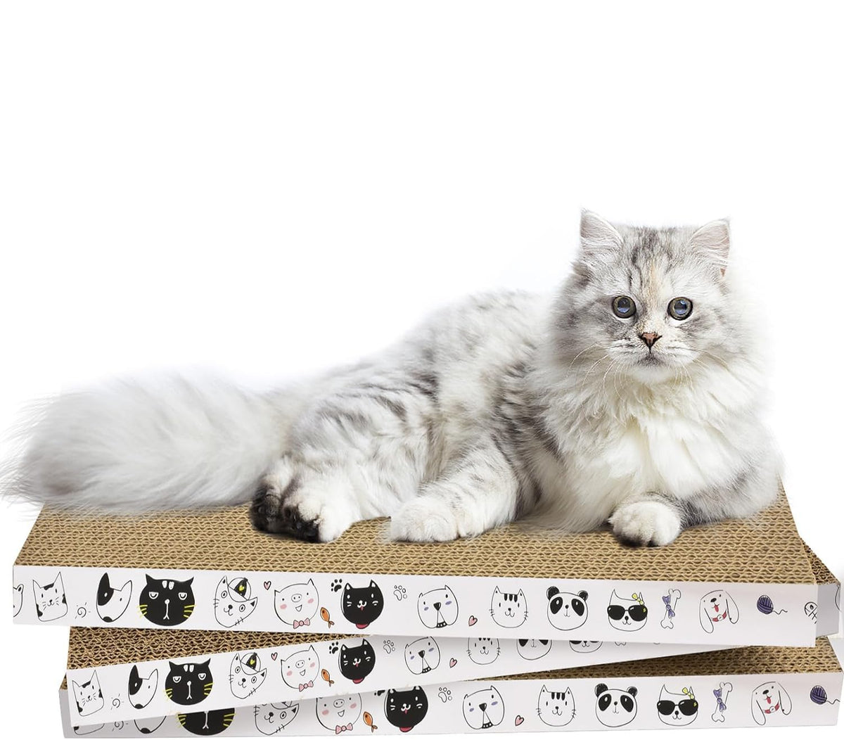 AccEncyc three-pack cat scratcher refill with durable dual-sided pads for long-lasting use.