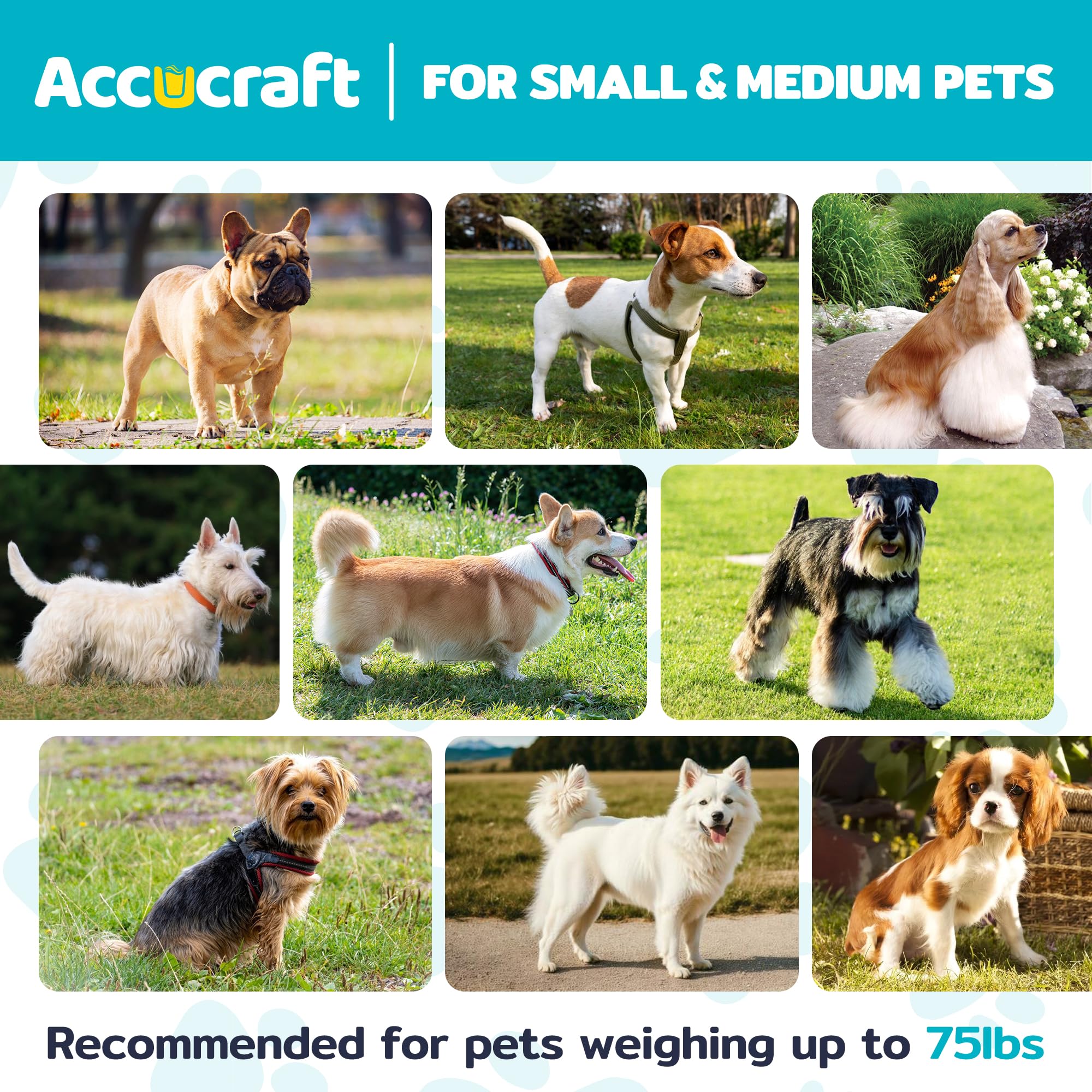 ACCUCRAFT dog bath tub easy clean after use with smooth tub interior
