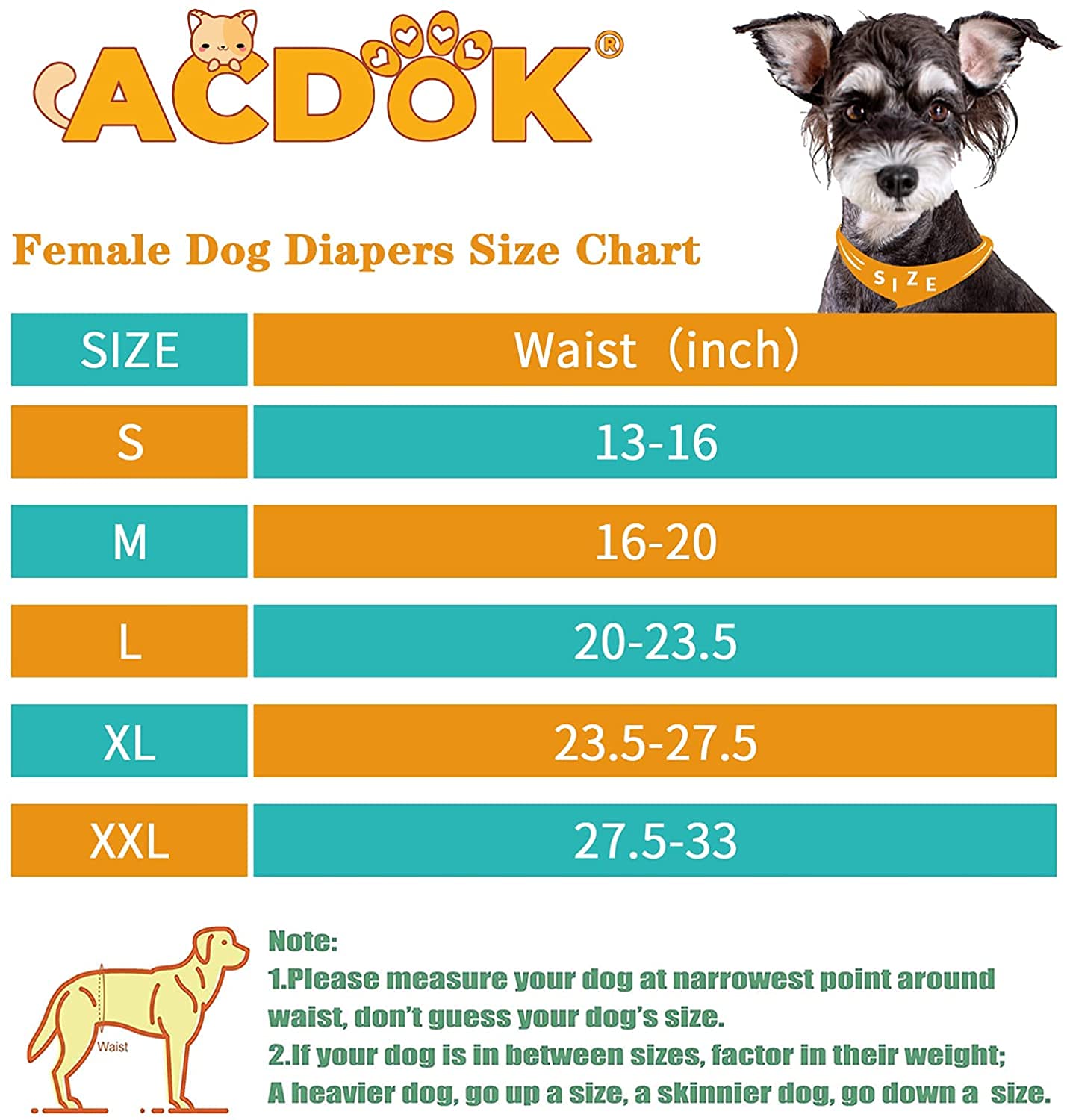 ACDOK adjustable closure diaper demonstrating secure fit for active dogs