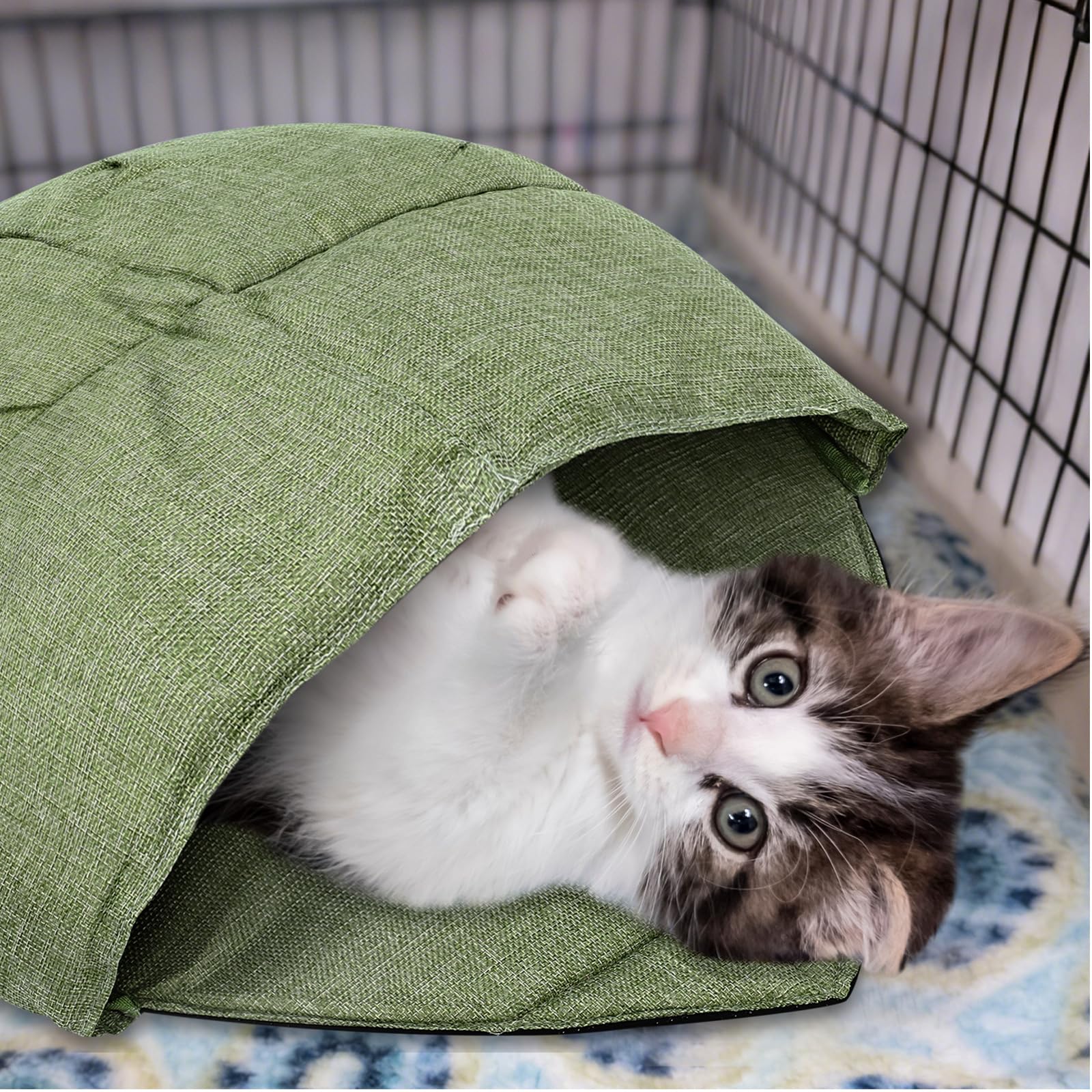 AceOrbit cat bed pair in room illustrates two-pack value for households