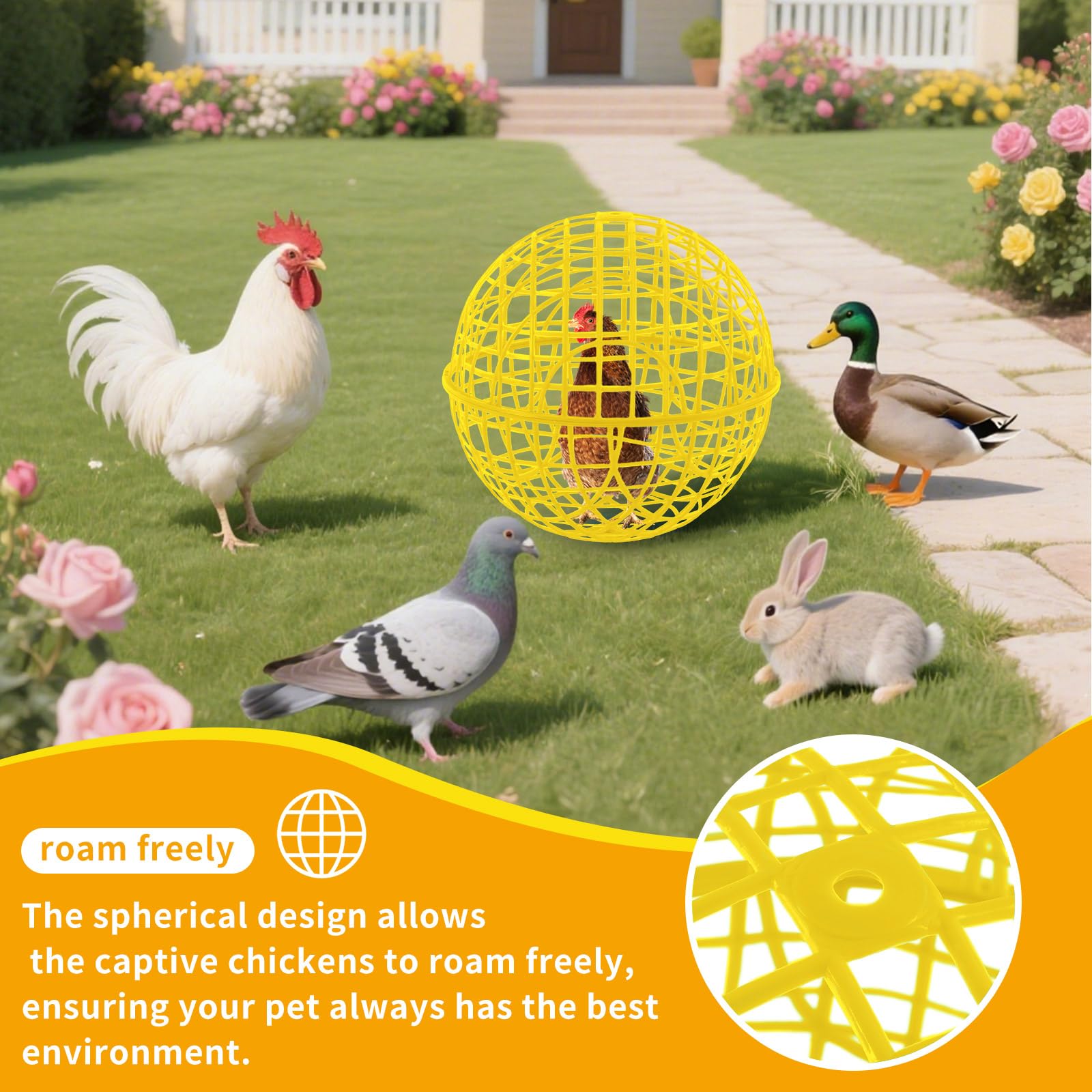 AceOrbit multi-animal set accommodates chickens, ducks, and rabbits outside
