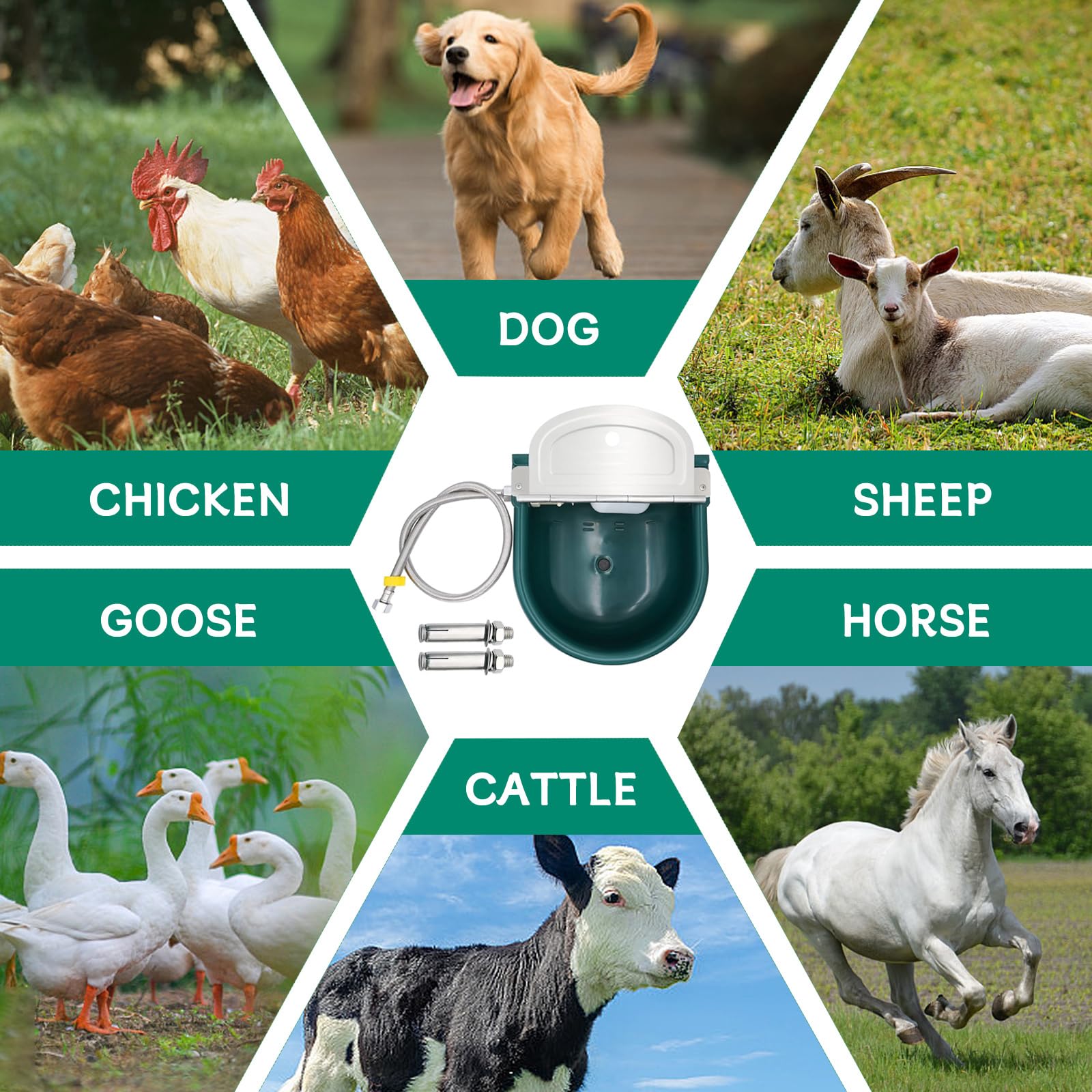 Achicklead durable plastic waterer withstands outdoor conditions for daily use