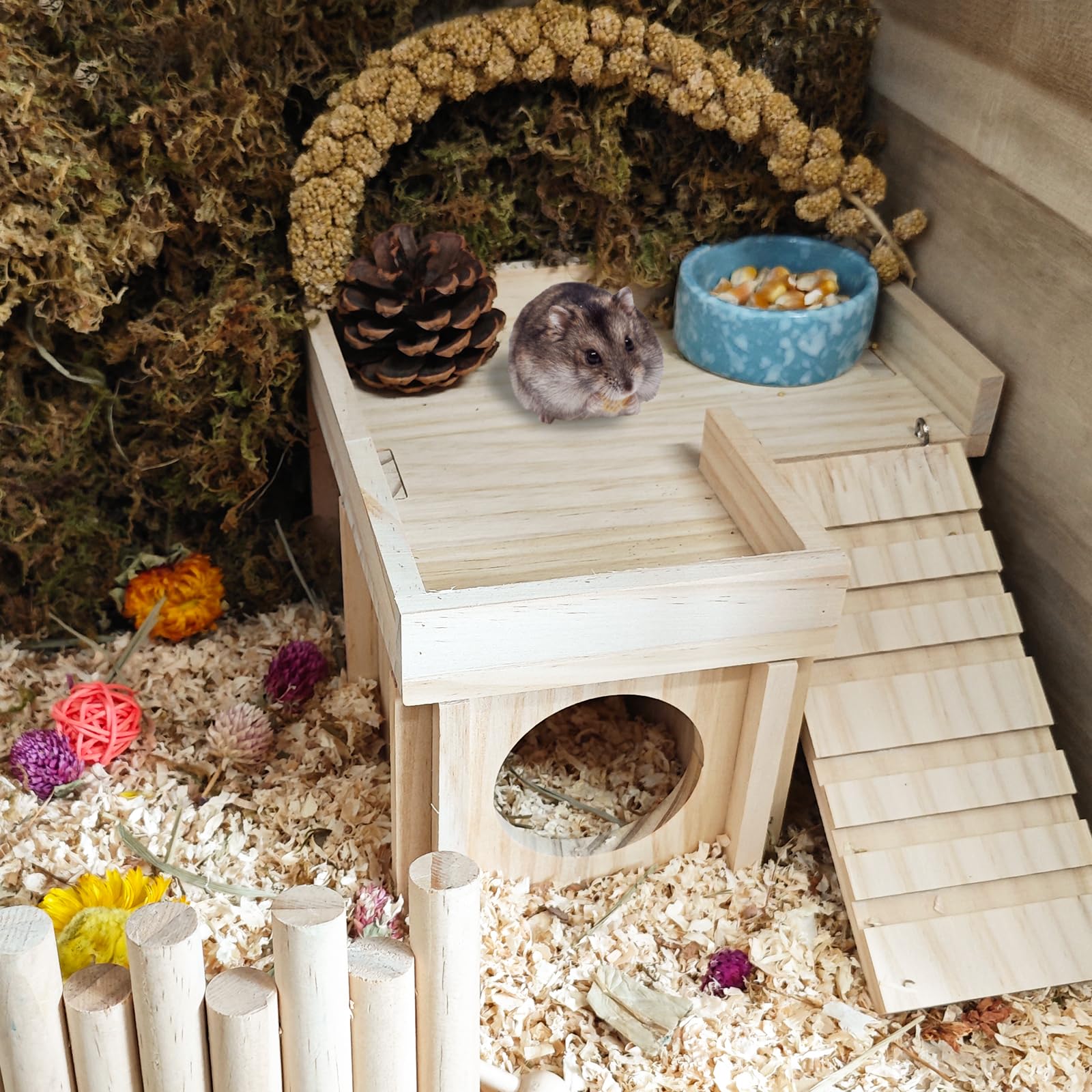 Acsist wooden cage accessory for rats and gerbils.