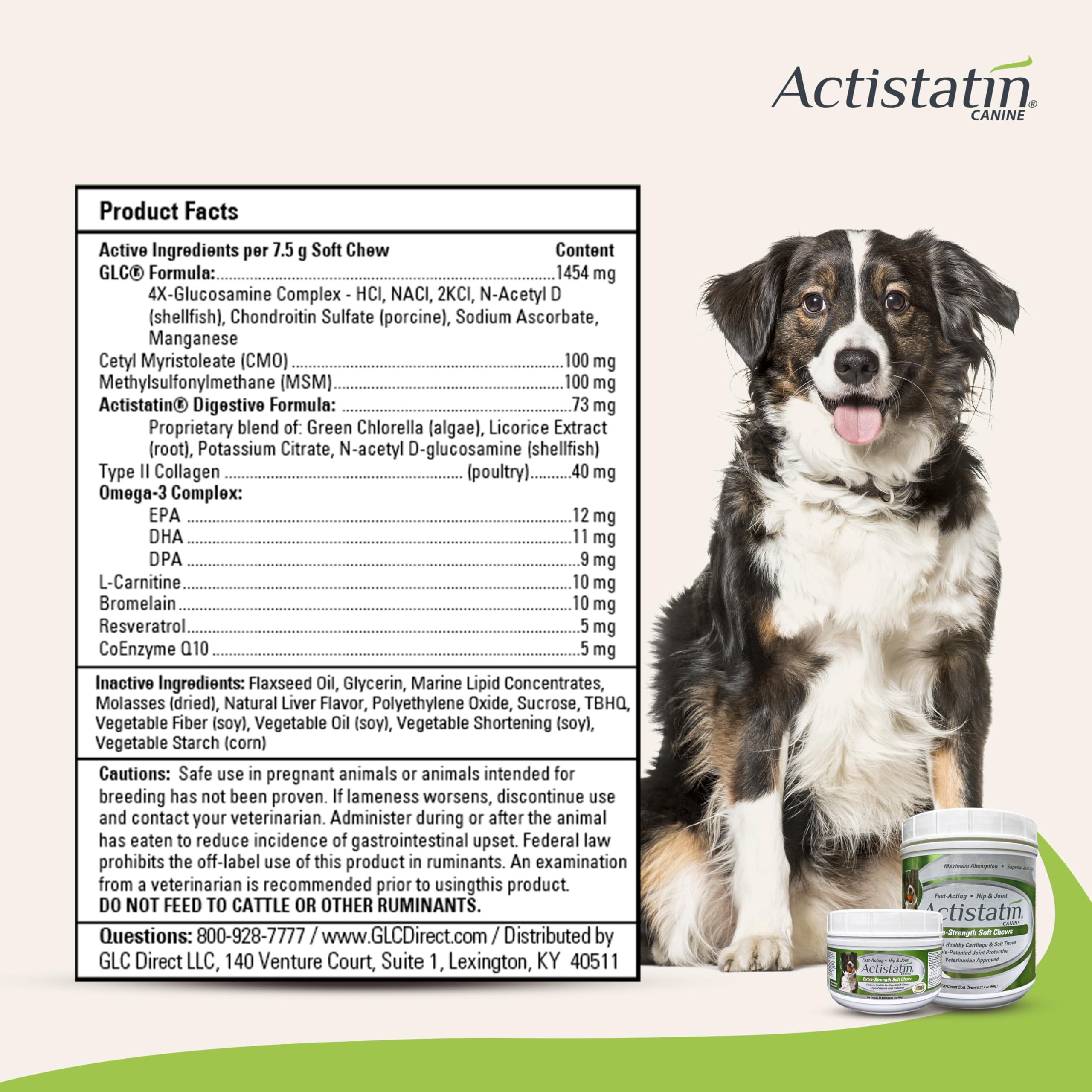 Actistatin Canine Large Dog Soft Chews bag highlights chew texture for natural liver-flavored appeal