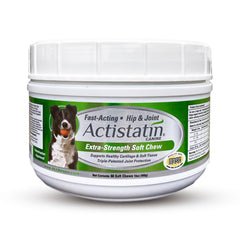 Actistatin Canine Large Dog Soft Chews bottle showing joint support formula.