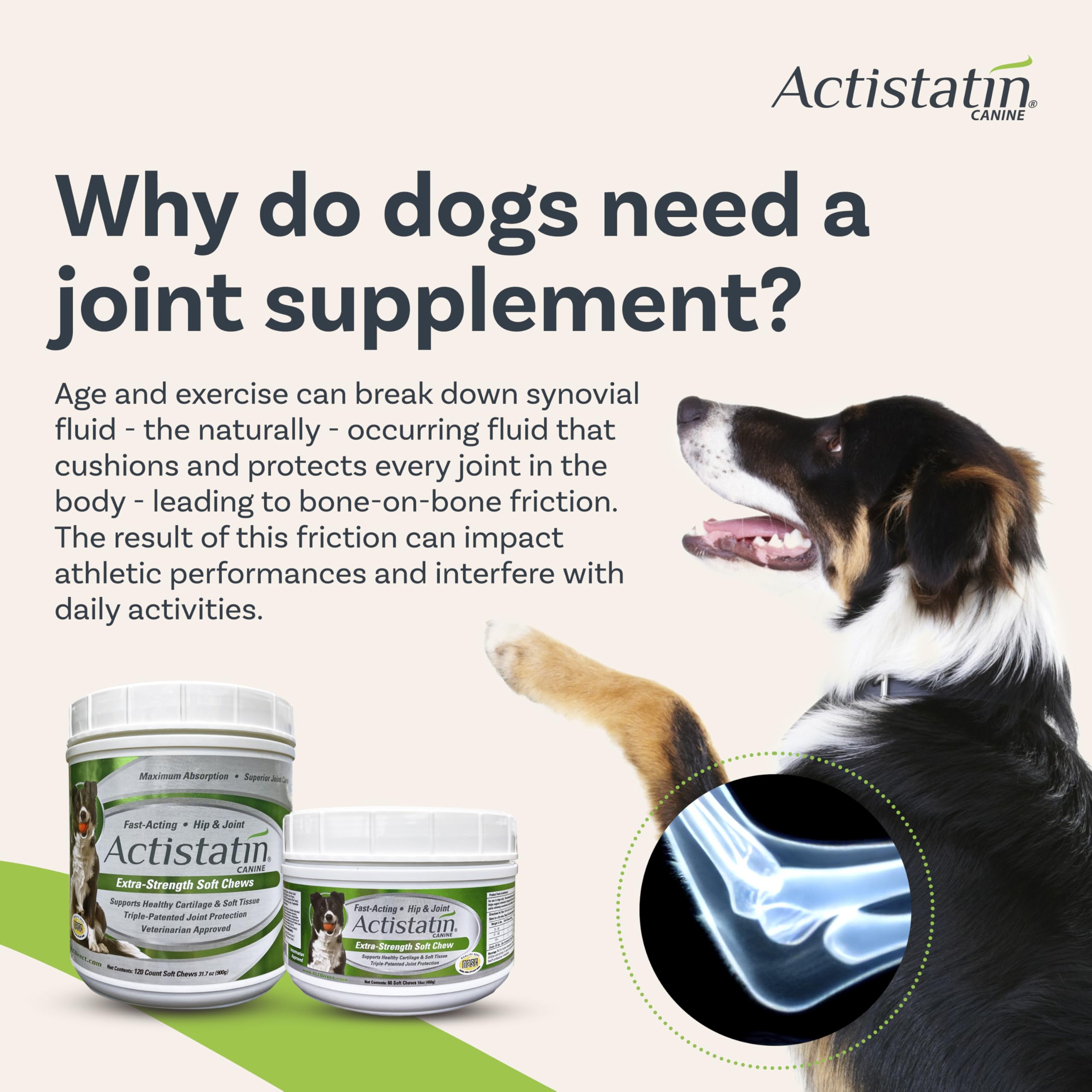 Actistatin Canine Large Dog Soft Chews bottle label noting hyaluronic acid support.