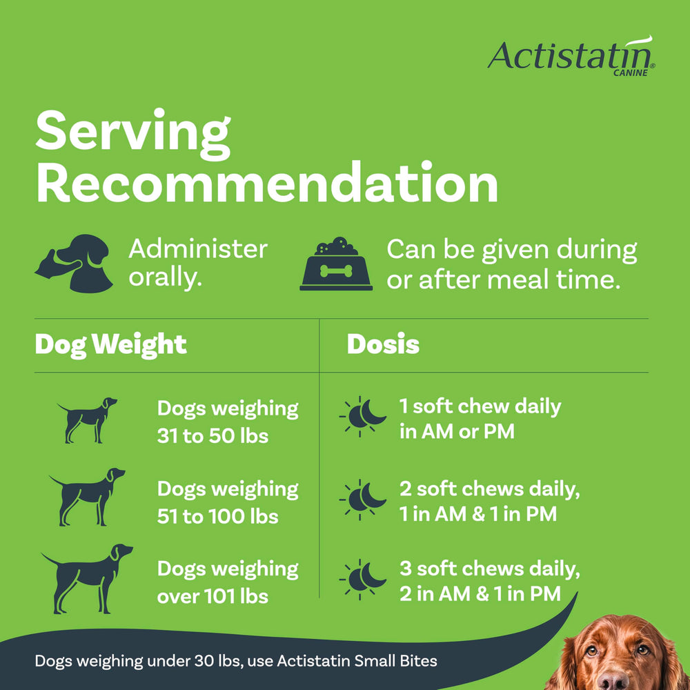 Actistatin Canine Large Dog Soft Chews packaging on shelf for daily joint care.