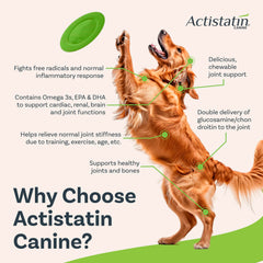 Actistatin Canine Large Dog Soft Chews textured chews shown for easy chewing and longer use