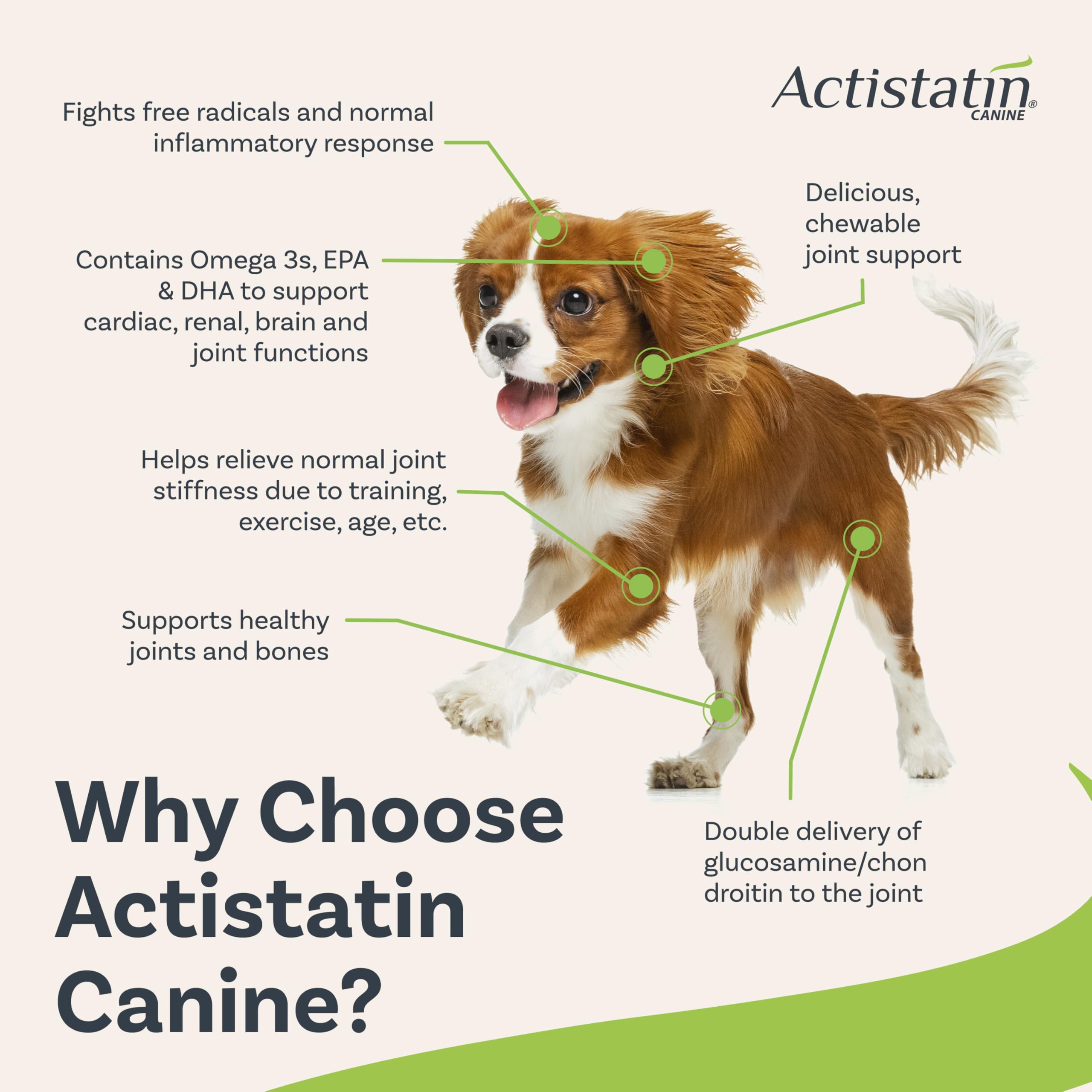 Actistatin joint support ingredients graphic emphasizes Type-II collagen and L-Carnitine for mobility.