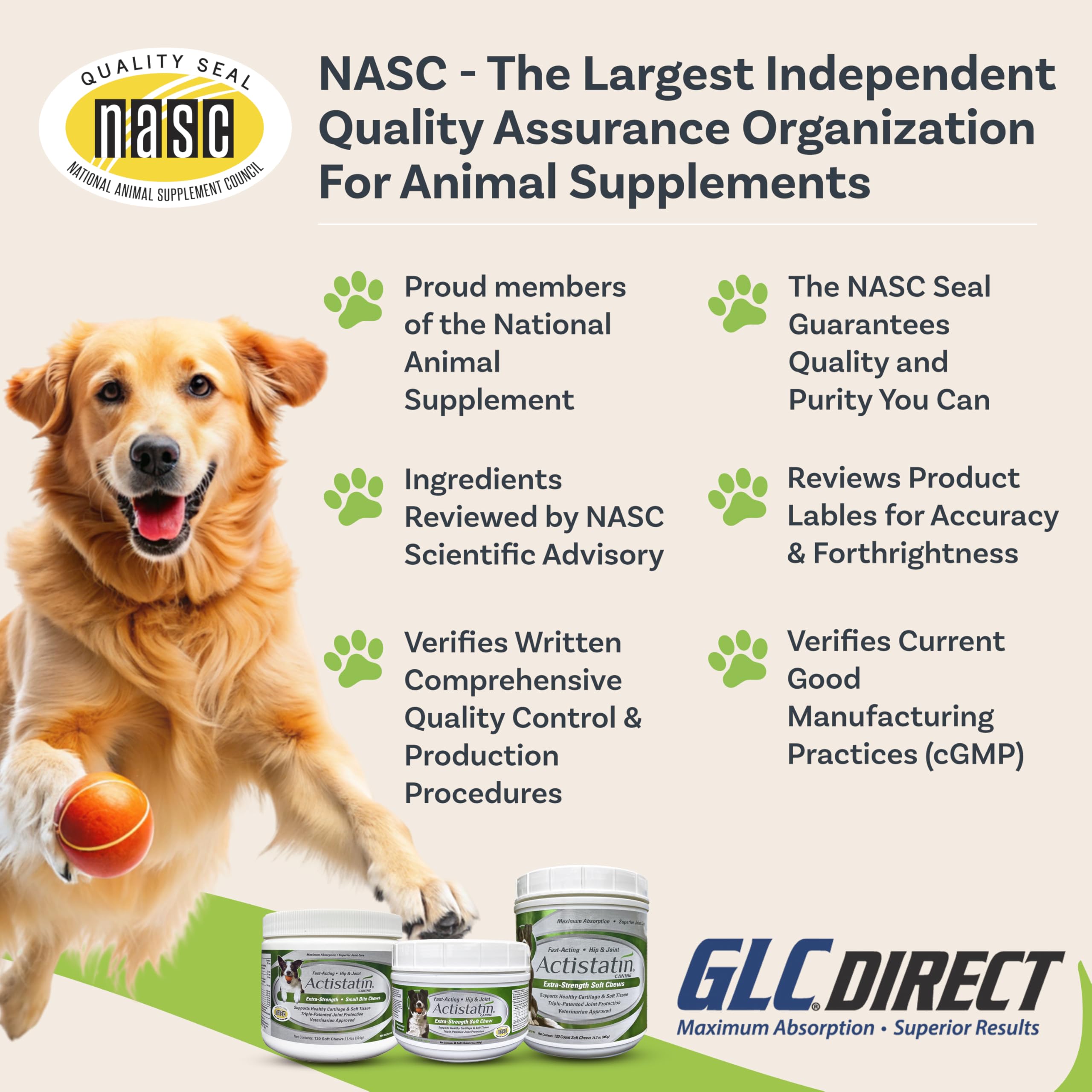 Actistatin owner with dog during daily routine demonstrates consistent supplementation.