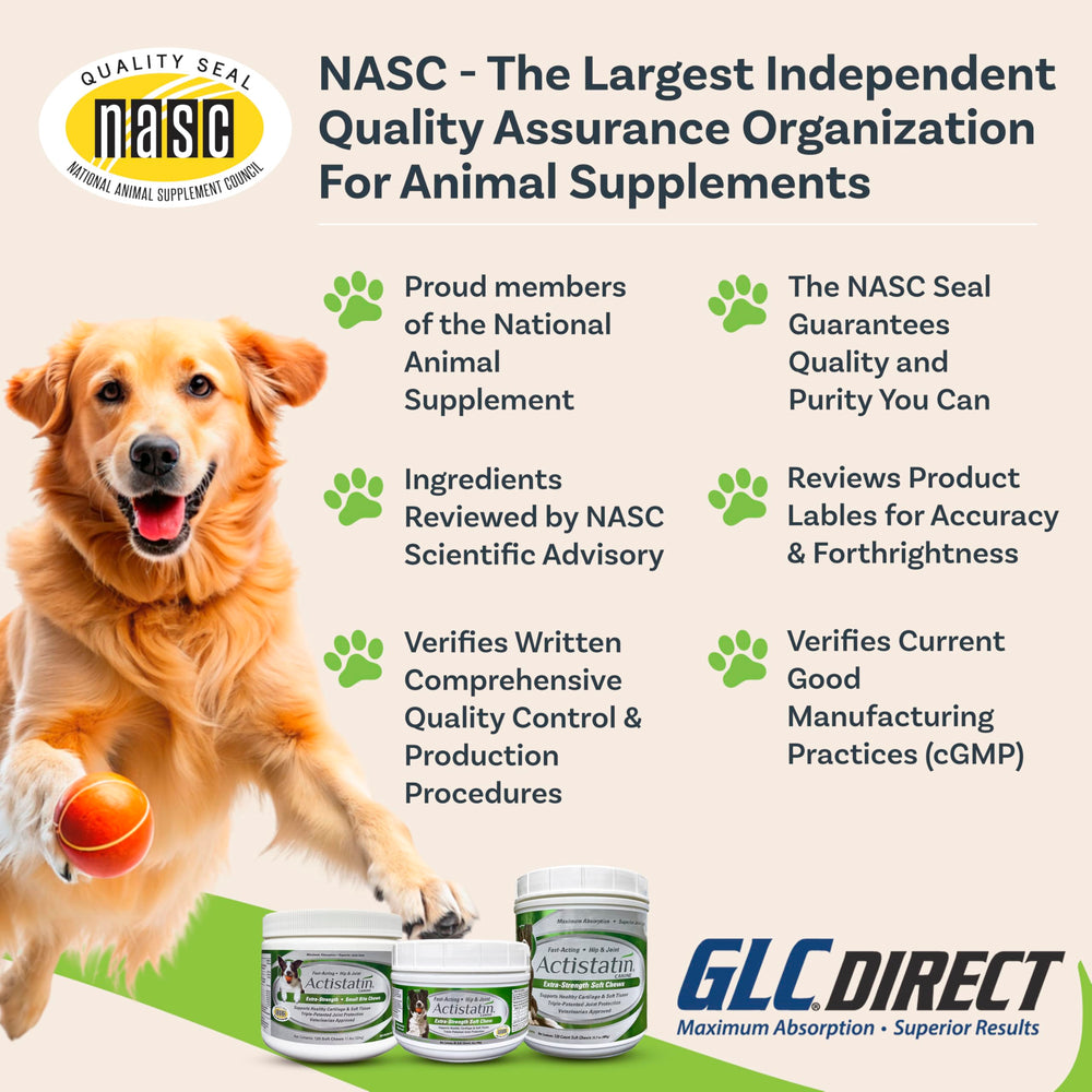 Actistatin owner with dog during daily routine demonstrates consistent supplementation.