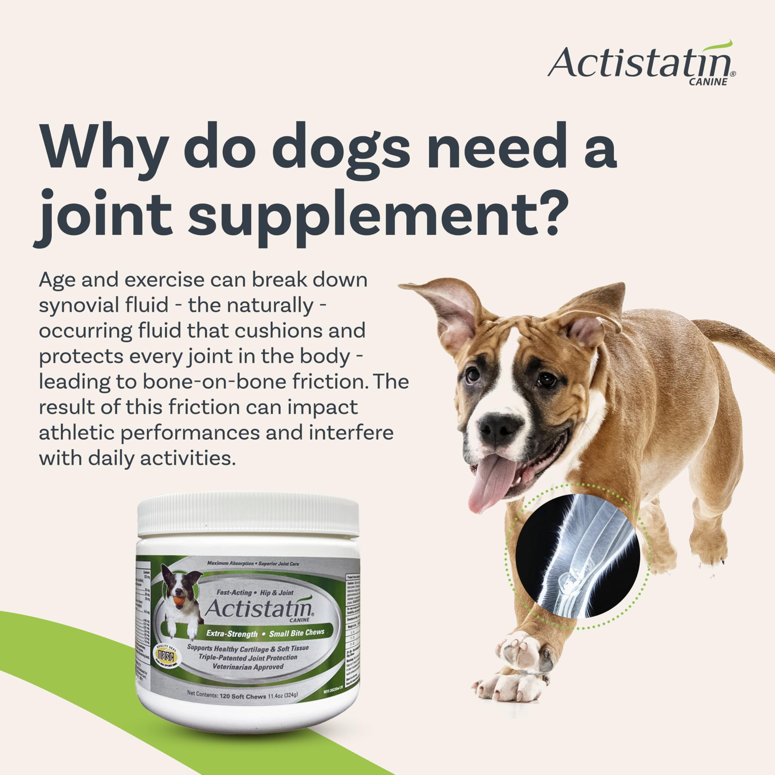 Actistatin soft chew texture close-up suggests a palatable daily treat for active dogs.