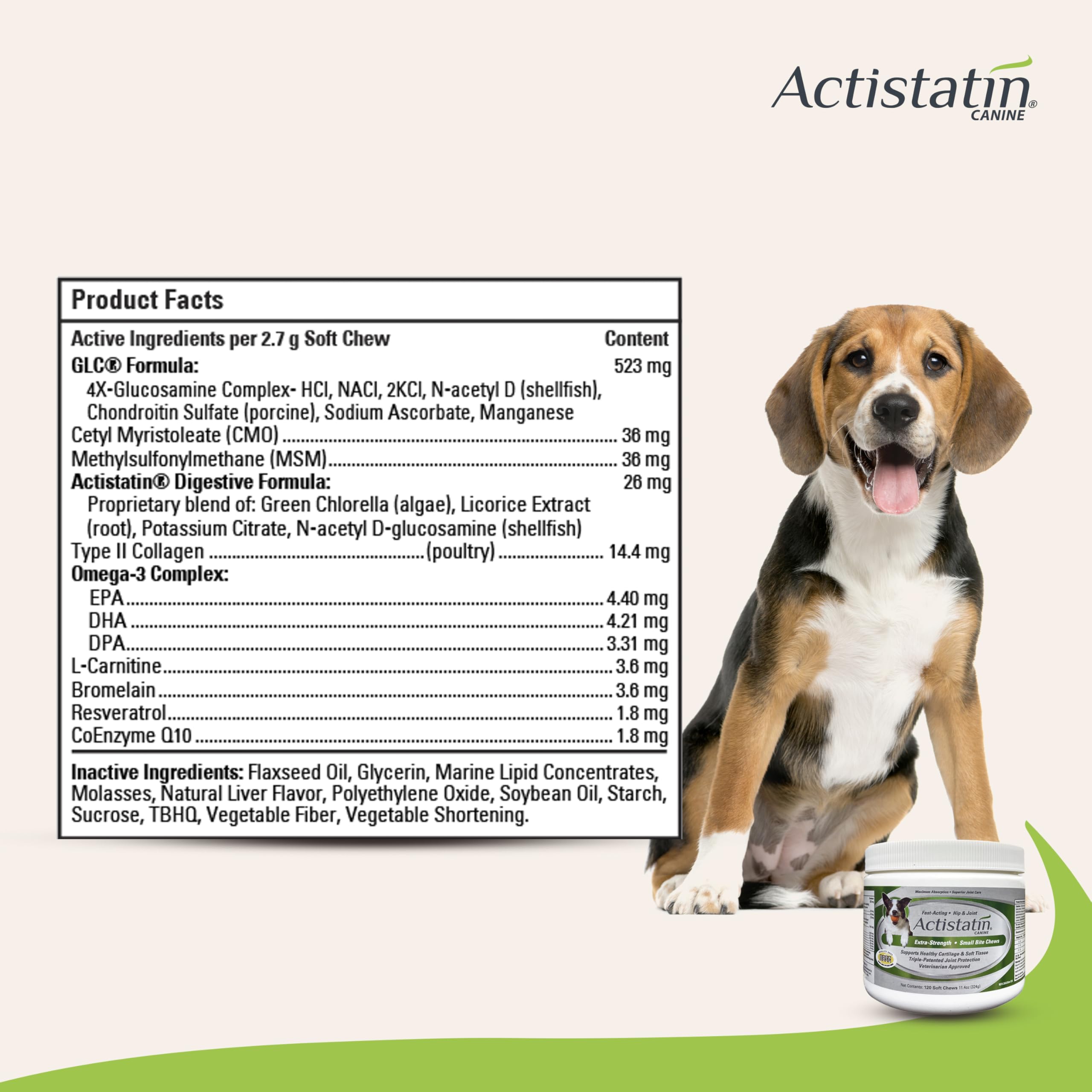 Actistatin soft chews close-up highlights glucosamine and MSM ingredients for joint comfort.