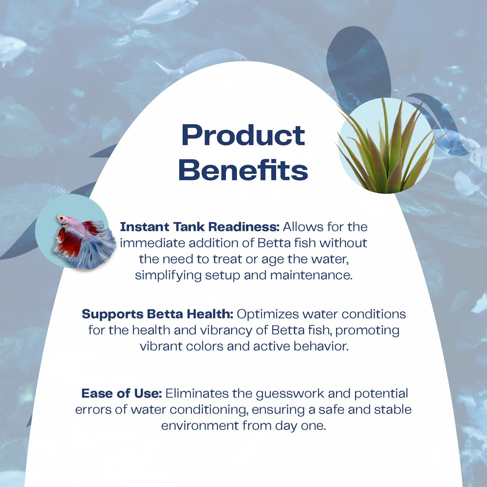 Activ Betta instant cycling in betta bowl demonstrates quick tank readiness