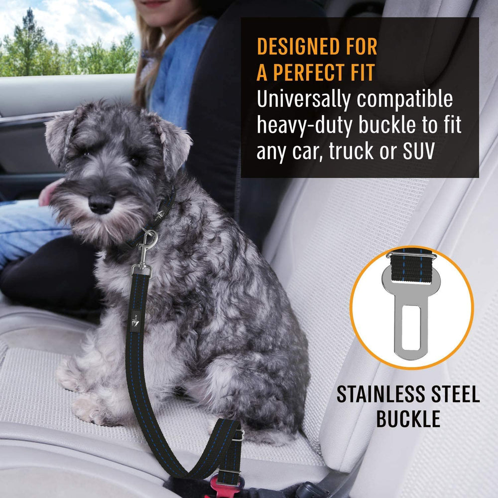 Active Pets blue dog car seatbelt roam-safely feature for pet comfort.