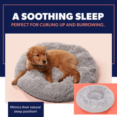 Active Pets donut style bed in a 23x23 corner setup for small spaces