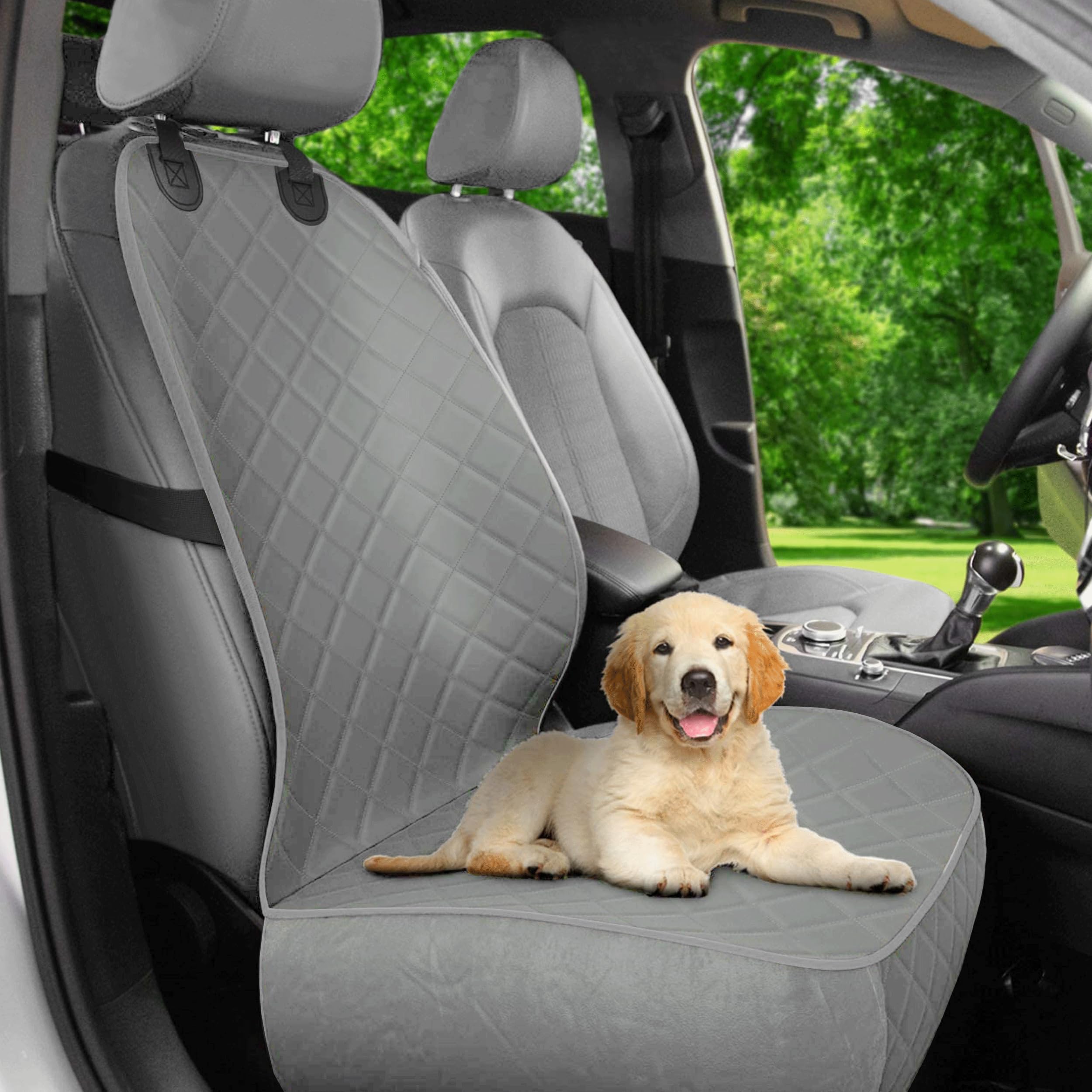 Active Pets OEKO-TEX certified PFAs-free materials ensure safe use.