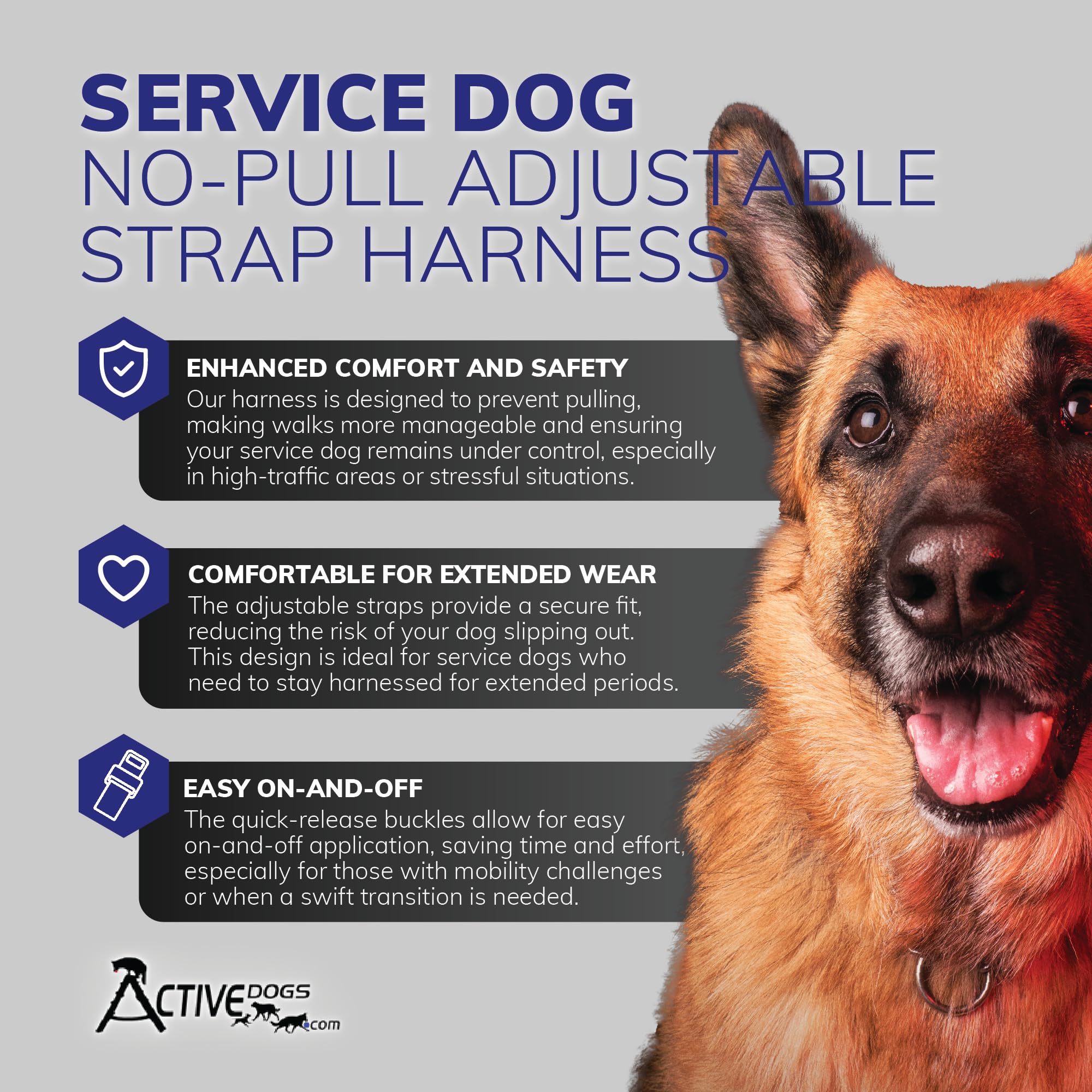 ActiveDogs front strap design discourages pulling while maintaining comfort during daily use