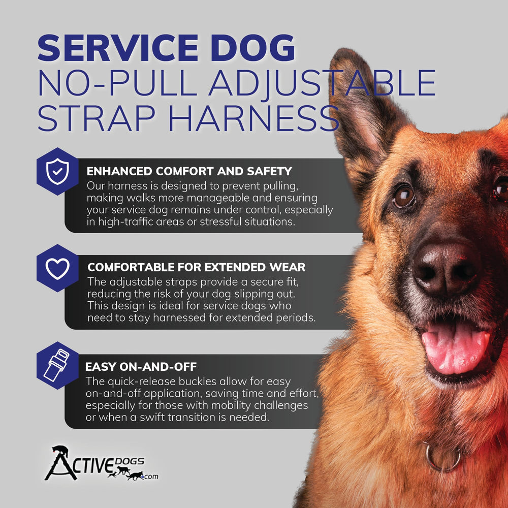 ActiveDogs front strap design discourages pulling while maintaining comfort during daily use