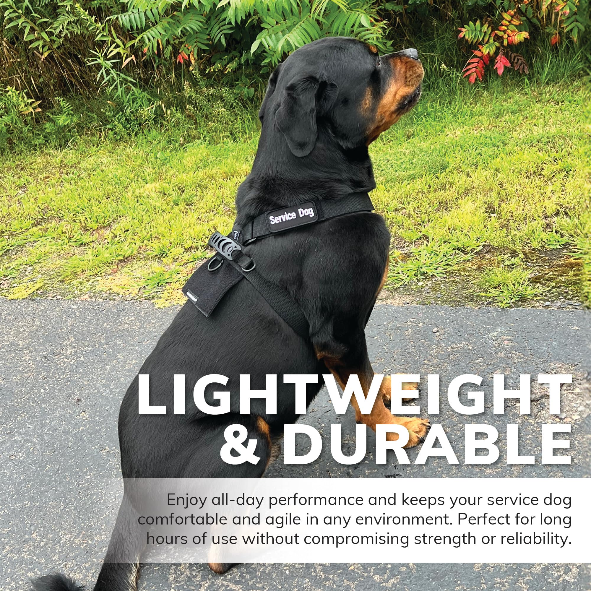 ActiveDogs large dog harness 29-44 inch chest for big breeds