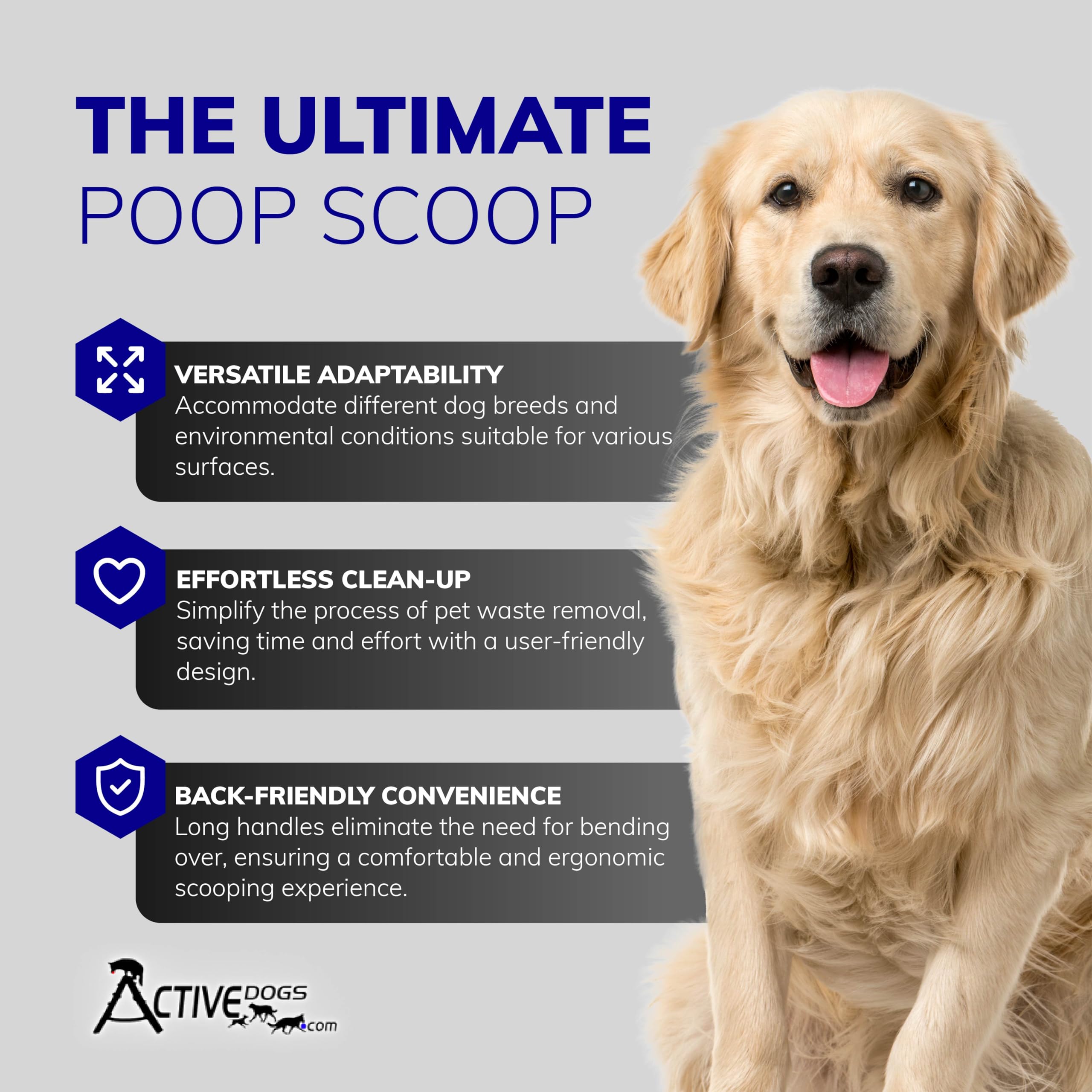 ActiveDogs flat-surface design enables quick pickup on concrete, wood, and asphalt