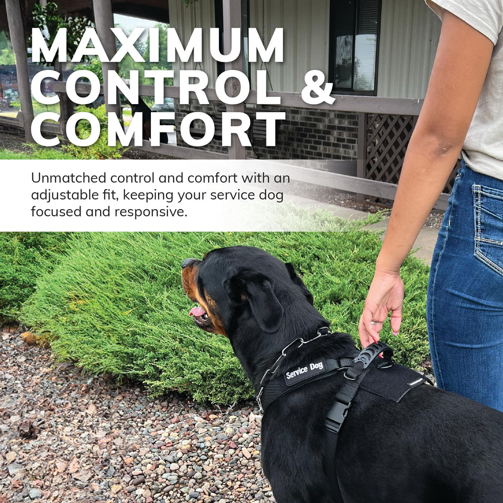 ActiveDogs quick release buckle allows easy on and off