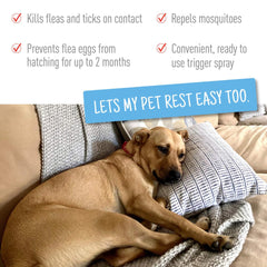 Two-pack Adams flea and tick spray in packaging for convenient pest prevention.