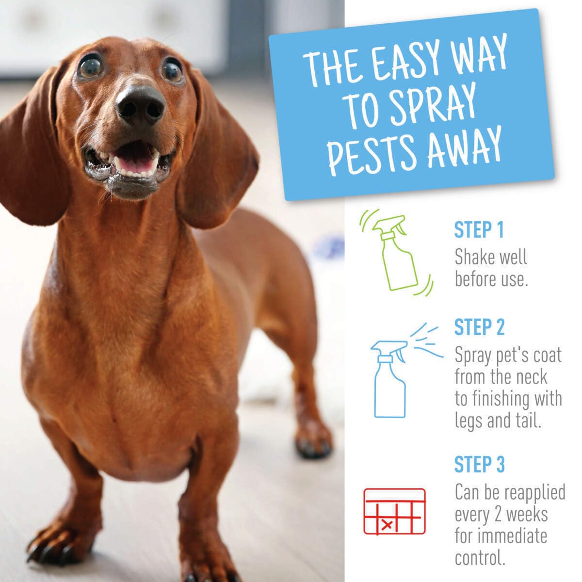 Adams Flea & Tick Spray applied to a pet coat for pest control.