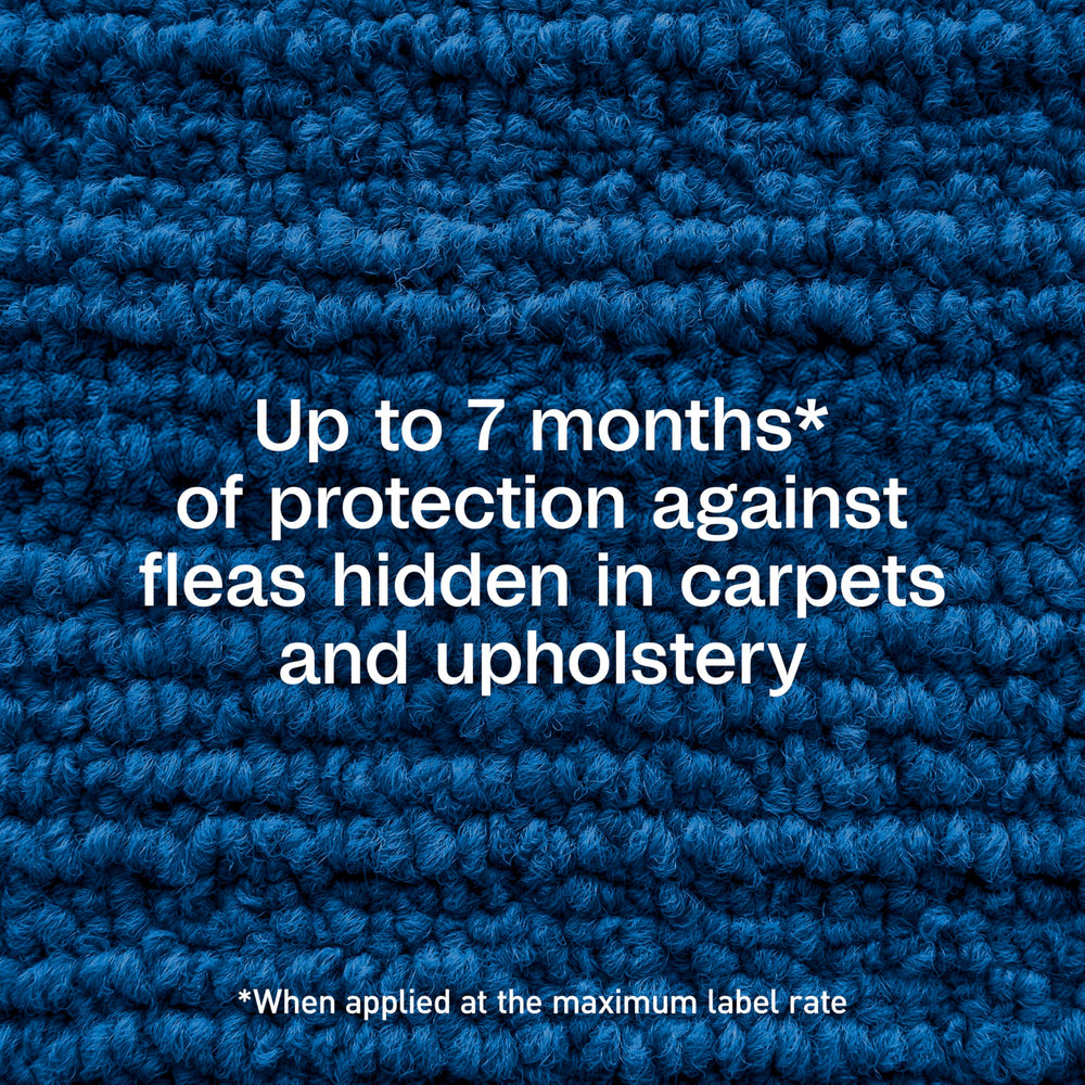 ADAMS Plus Flea & Tick Carpet Spray applied on carpet shows long-lasting protection up to seven months.
