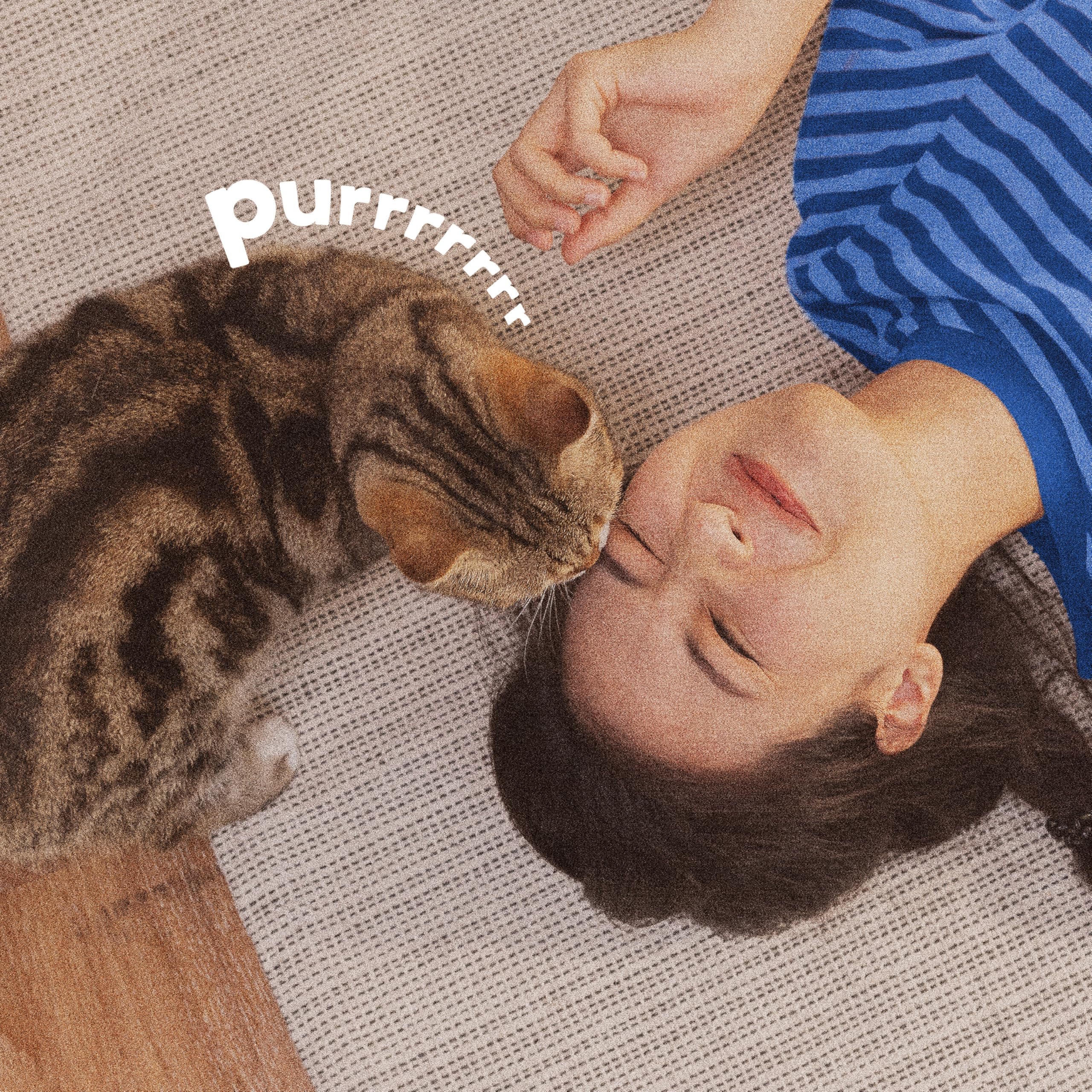 ADAMS Plus Flea & Tick Carpet Spray tackles adult fleas and ticks on contact.