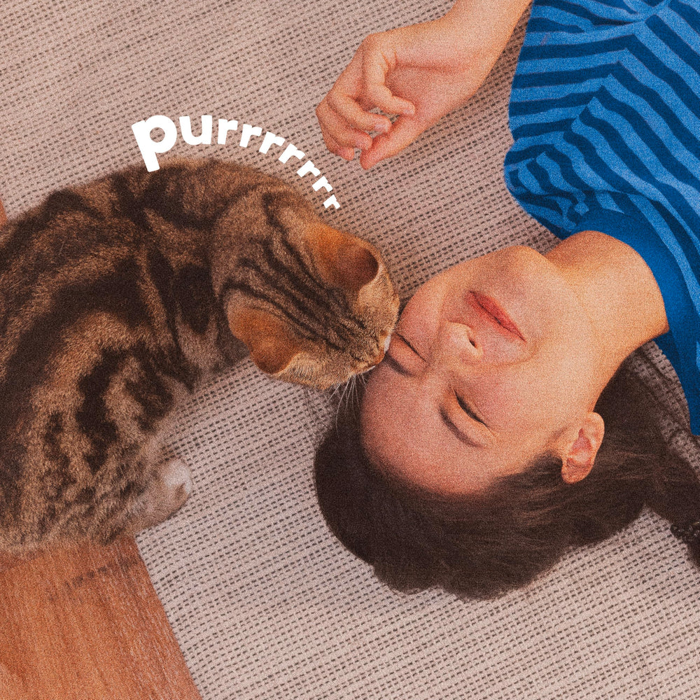 ADAMS Plus Flea & Tick Carpet Spray tackles adult fleas and ticks on contact.