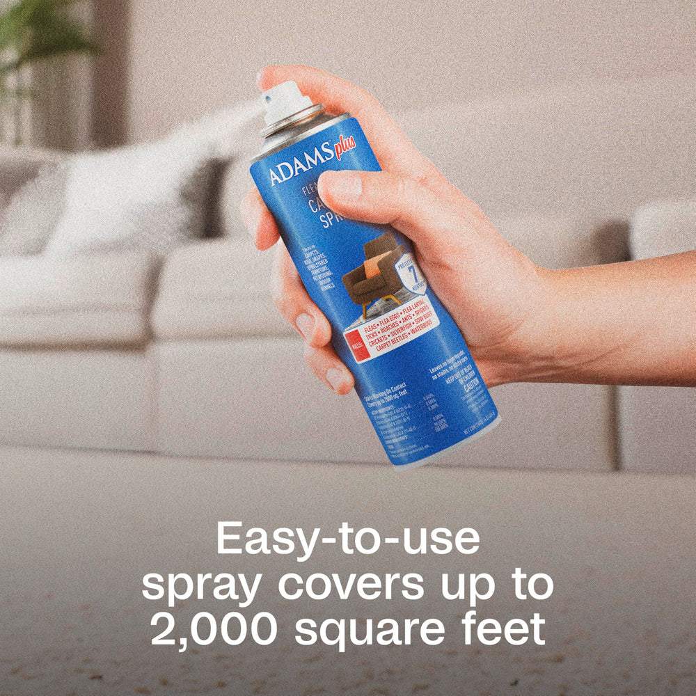 ADAMS Plus Flea & Tick Carpet Spray odor-free formula keeps rooms fresh during treatment.