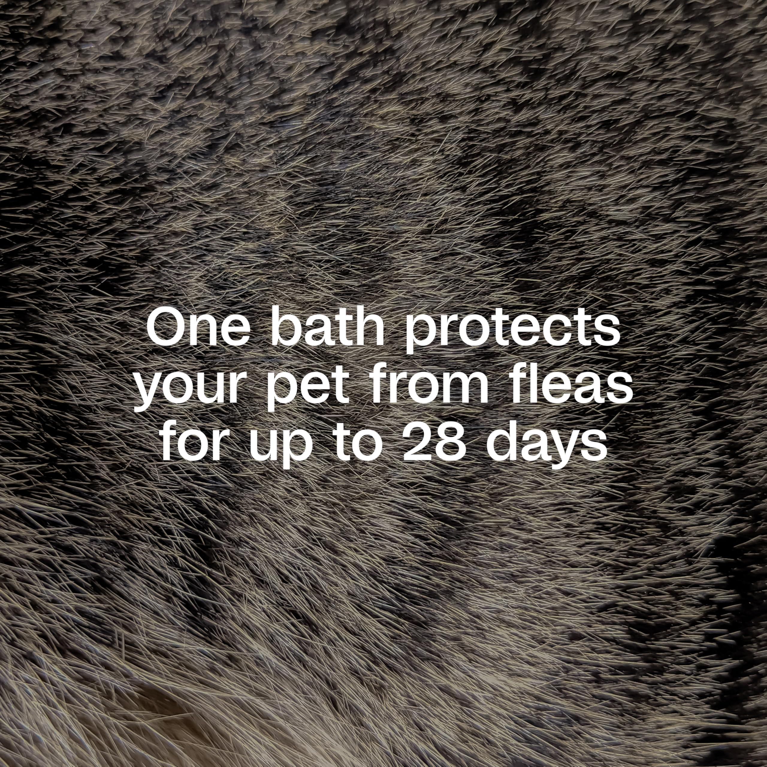 IGR bottle label highlighting up to 28 day flea life cycle protection.