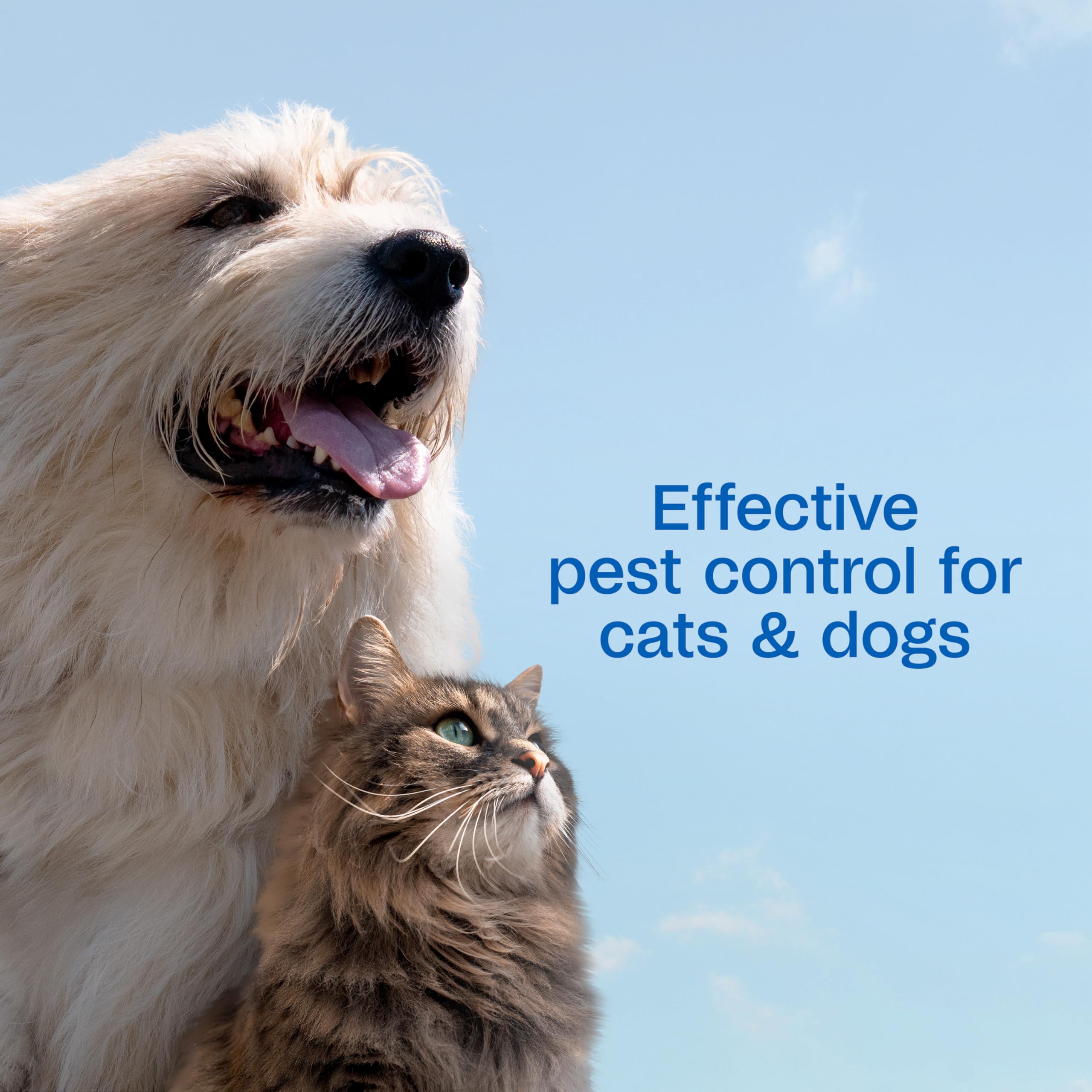 Pet coat after wash looks soft, manageable, and lightly scented with Adams.