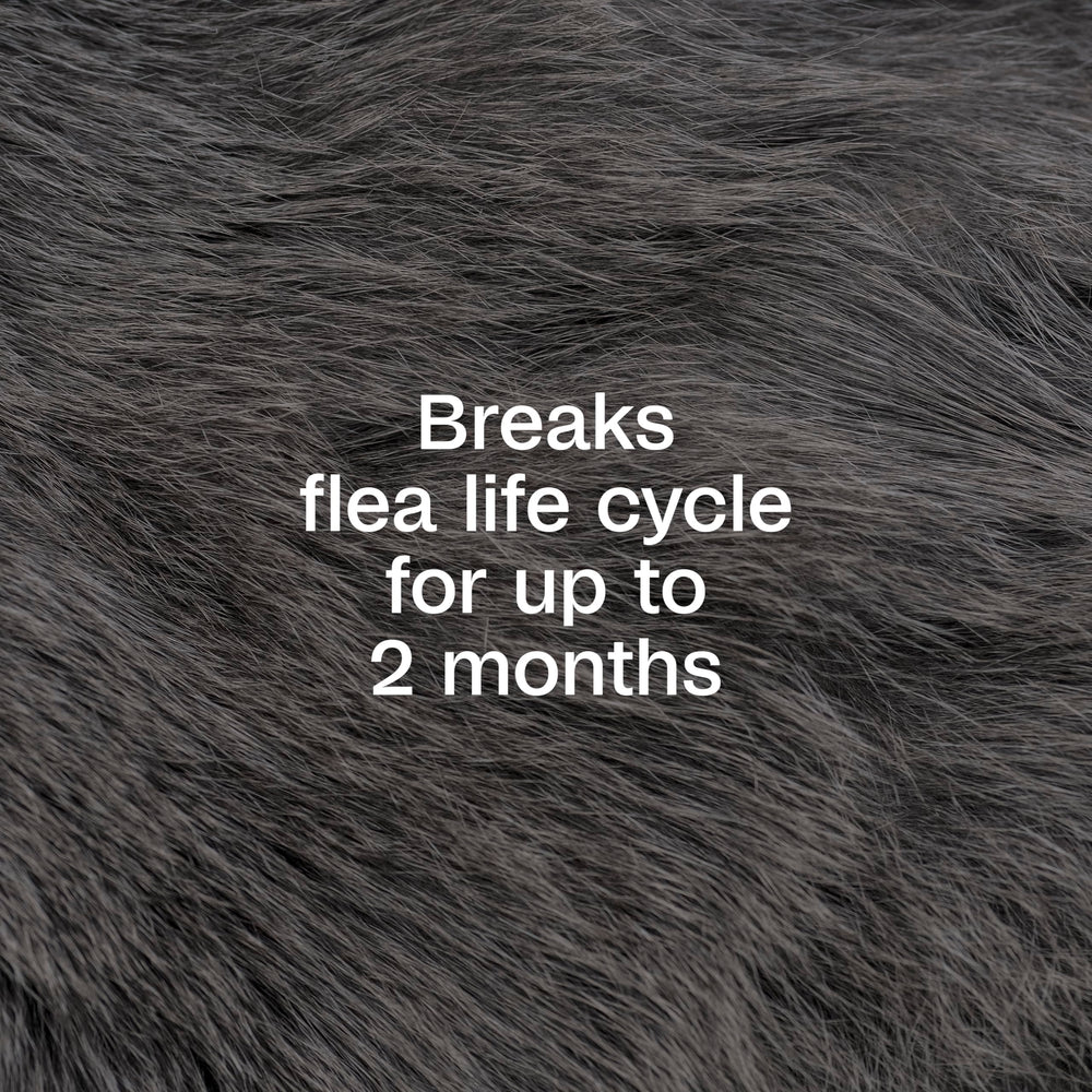 ADAMS Plus Flea & Tick Spray on a dog demonstrates user-friendly application.