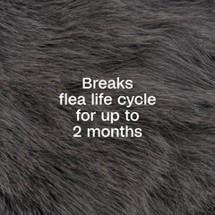ADAMS Plus Flea & Tick Spray on a dog demonstrates user-friendly application.