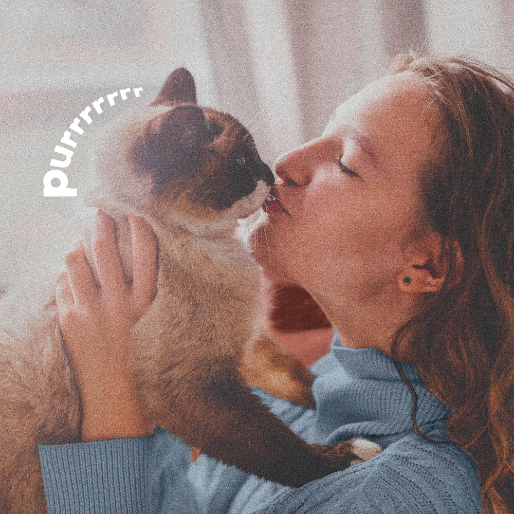 ADAMS Plus Flea & Tick Spray repels mosquitoes for outdoor playtime safety.