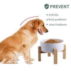 Addggo ceramic dog bowl on non-slip stand preventing mess during feeding