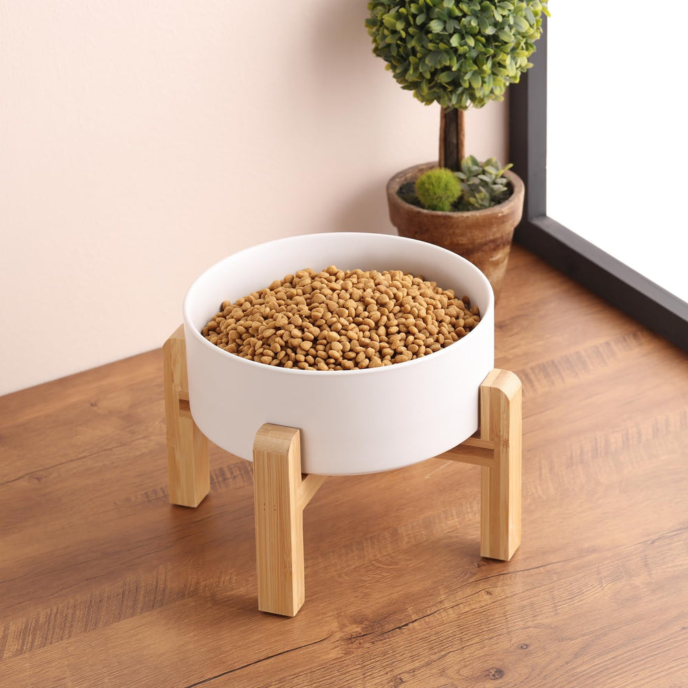 Addggo dish for dry or wet food demonstrates versatile ceramic design