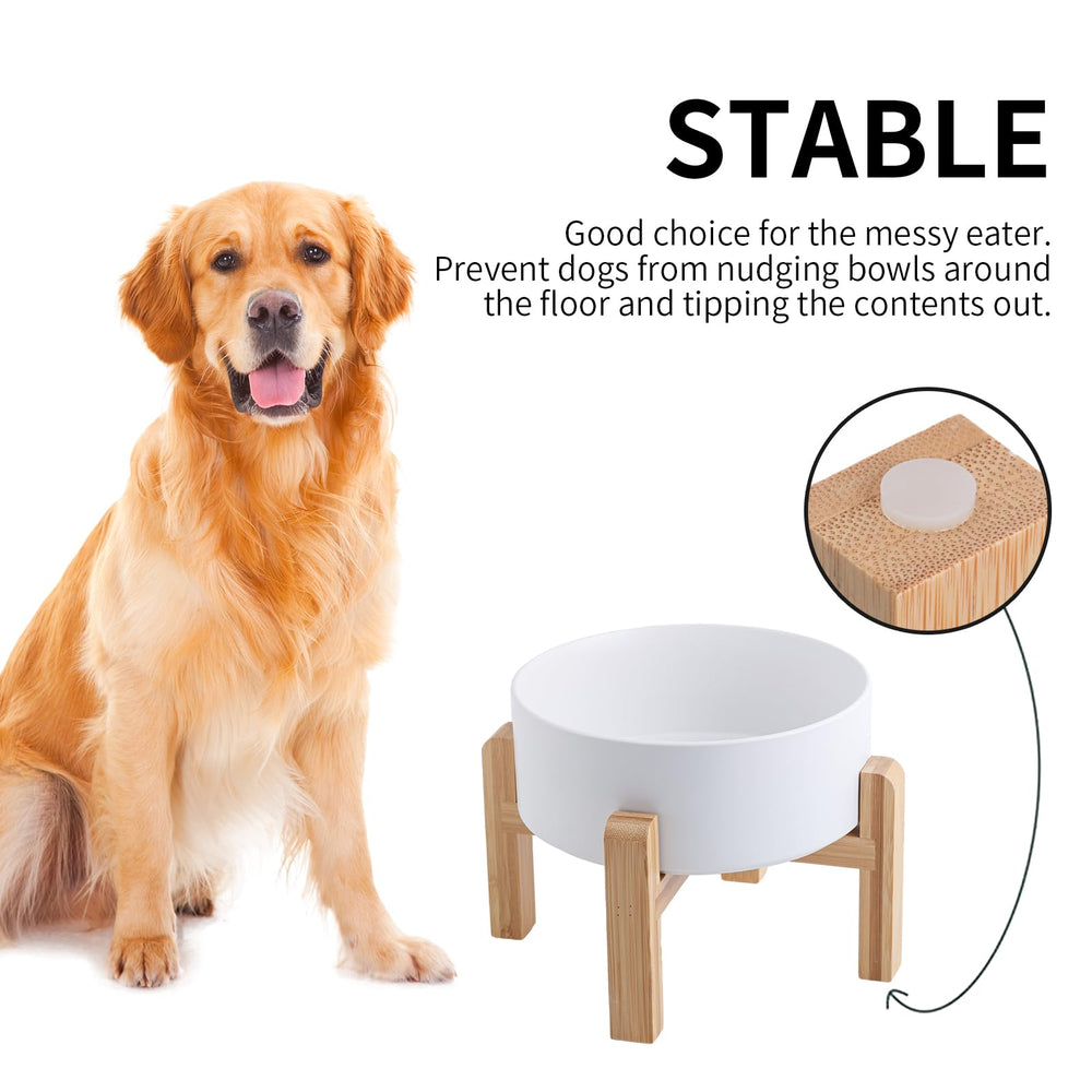 Addggo elevated 6in stand top view with 3.6 cup capacity for meals
