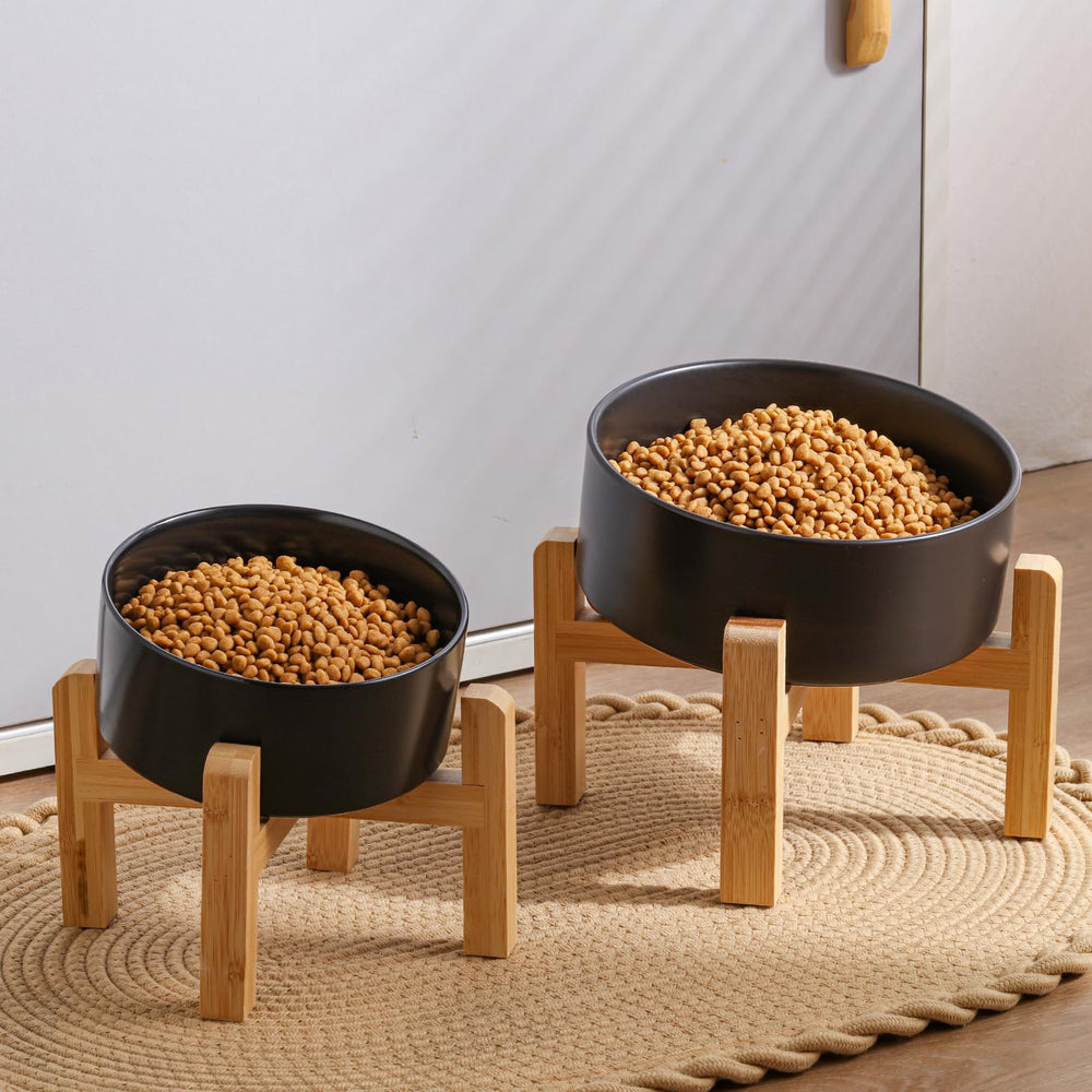 Addggo tilted bowl aids short-nose breeds by easing mealtime access.