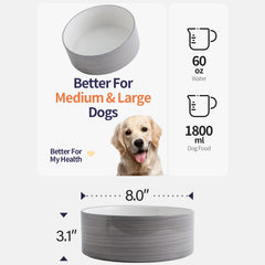Addogyy ceramic bowl with non-slip base minimizes mess during meals