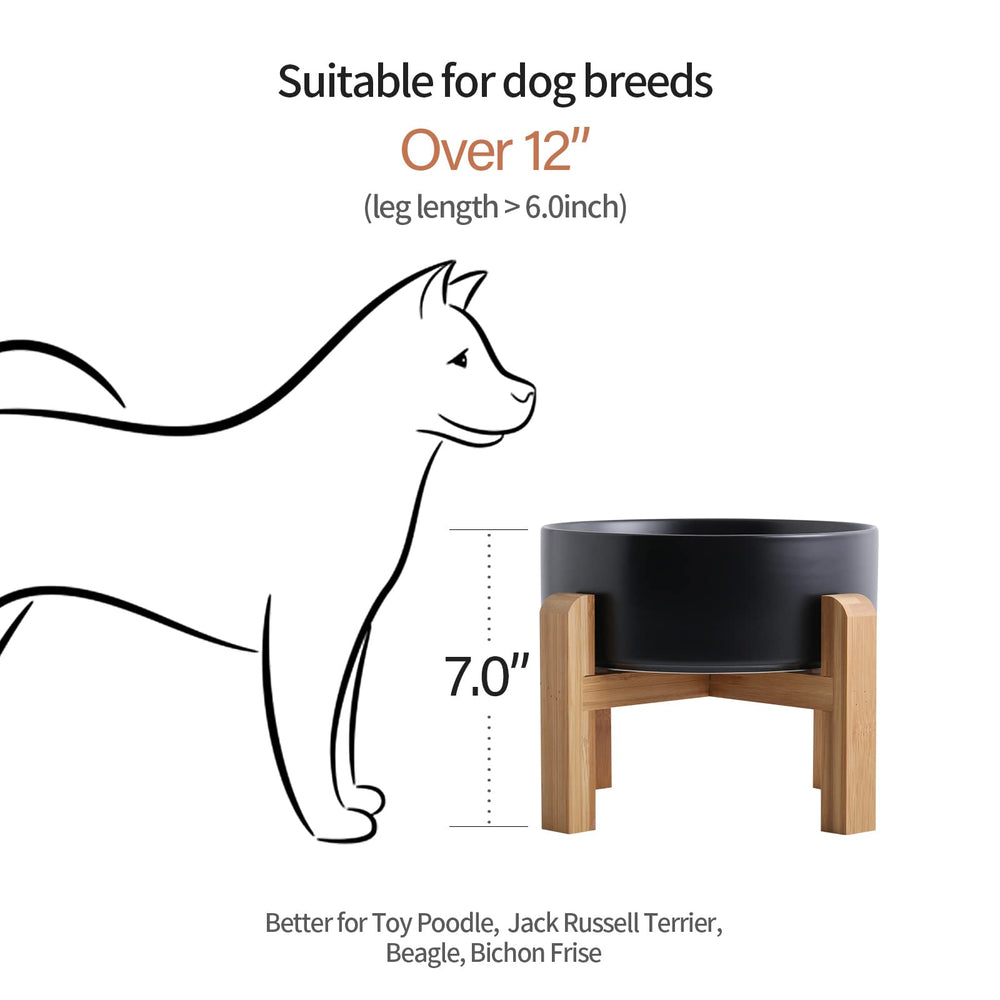 Addogyy dog eating from elevated bowl for comfortable meal posture.