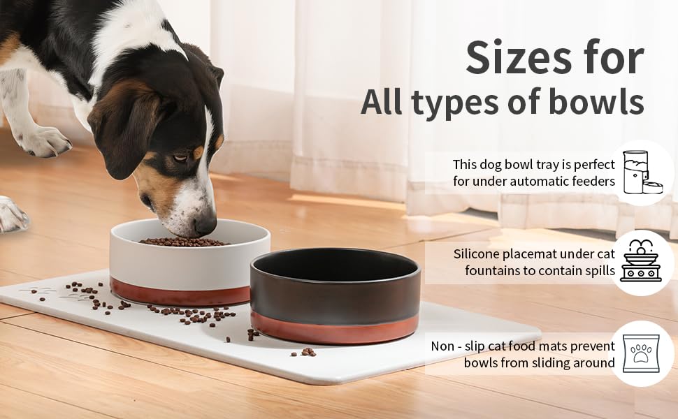 Addogyy easy-clean design simplifies post-meal cleanup and maintenance.