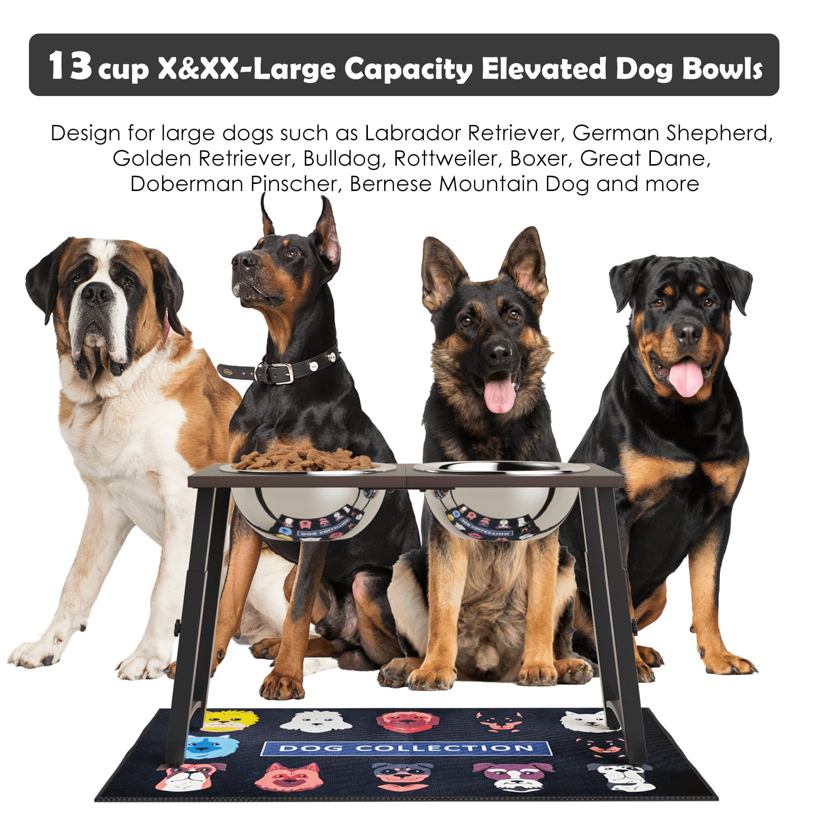 ADENGL raised dog bowl shows four height settings for comfortable dining