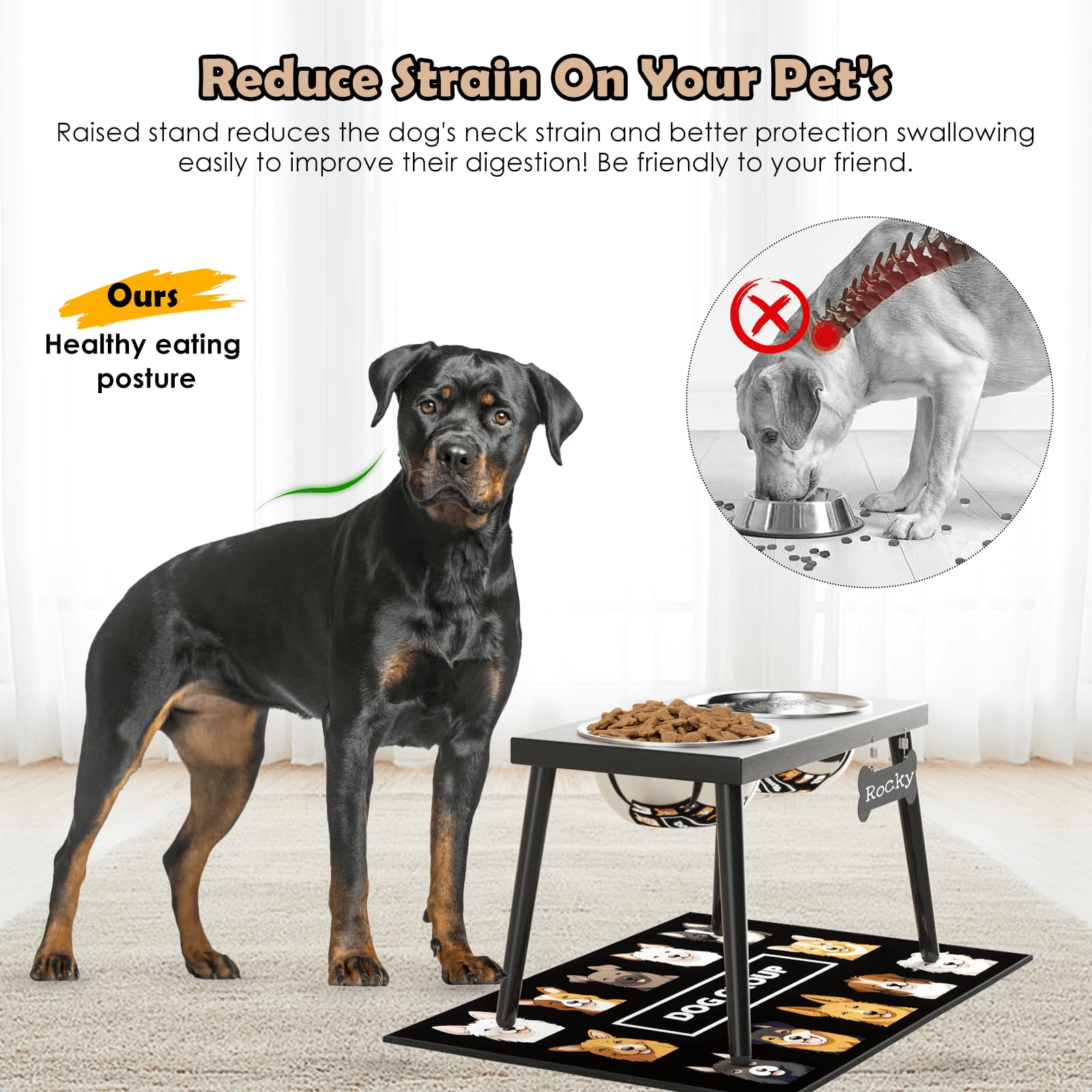 ADENGL elevated feeder demonstrates 10-inch height for medium and large dogs