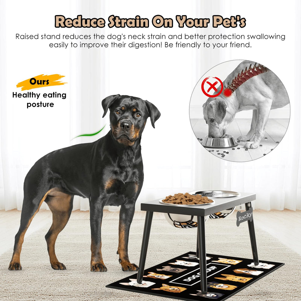 ADENGL elevated feeder demonstrates 10-inch height for medium and large dogs