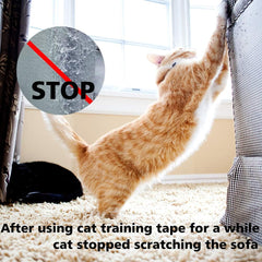 Adimmobilize cat scratch tape on carpet areas reduces scratching and wear.