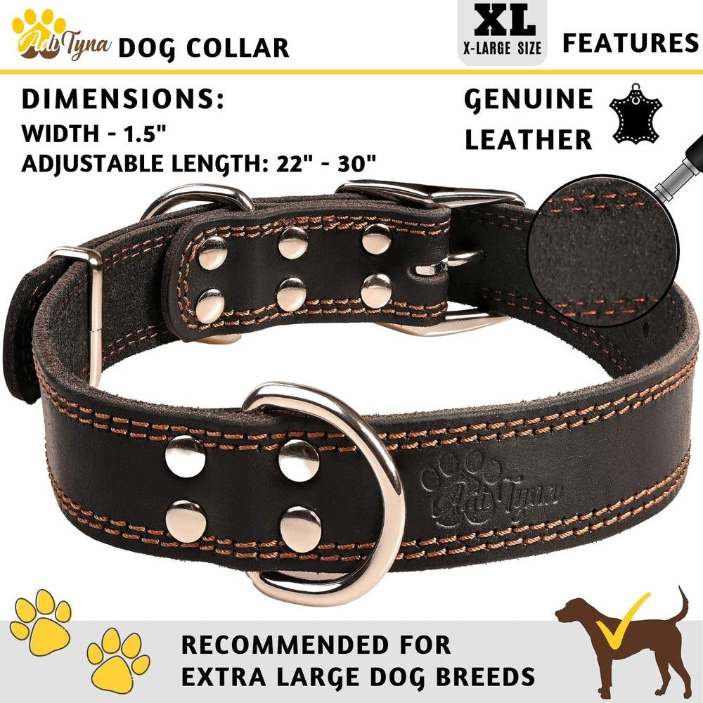 ADITYNA black leather collar close-up highlights stitching quality and premium finish